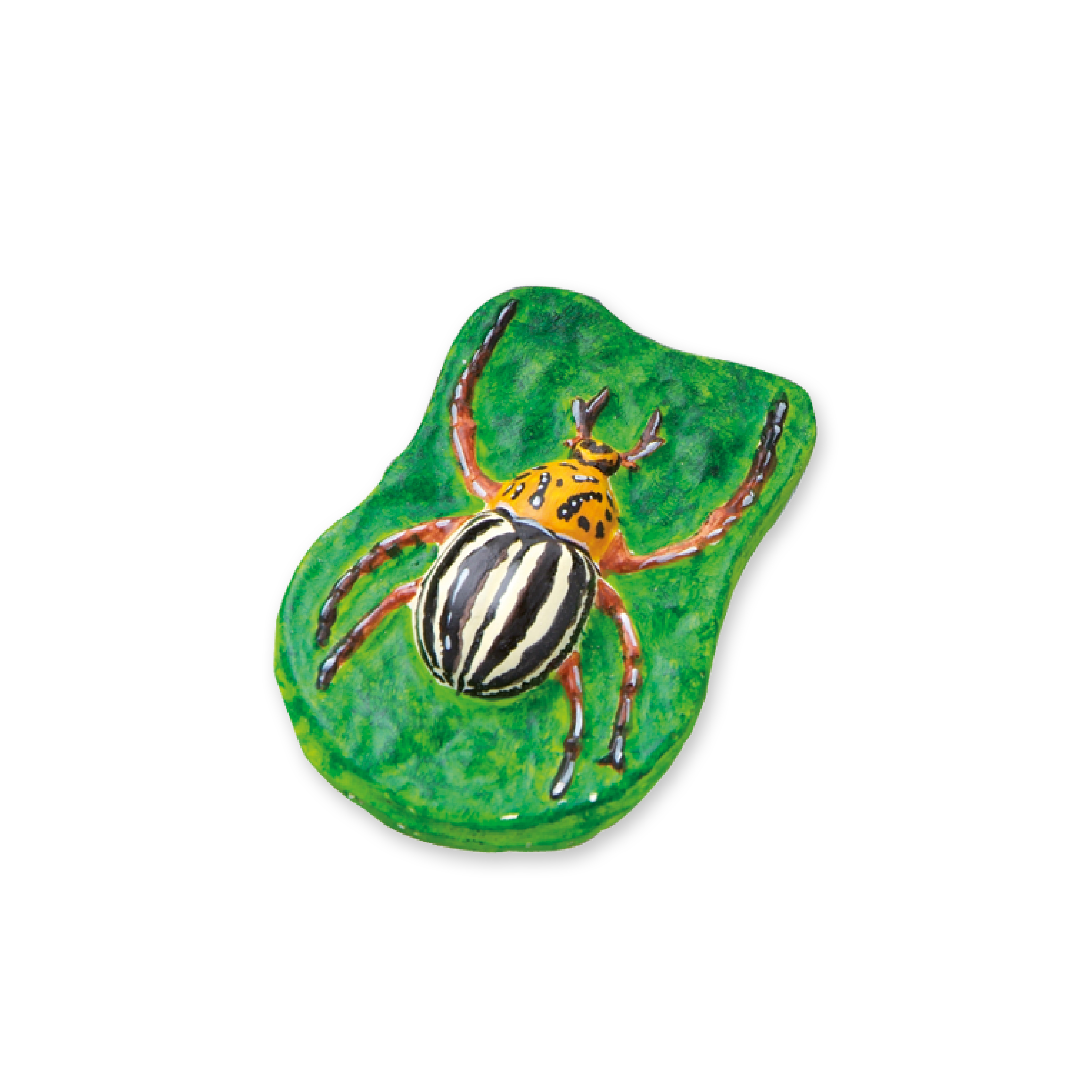 Pomalowany chrząszcz na zielonym liściu na białym tle.