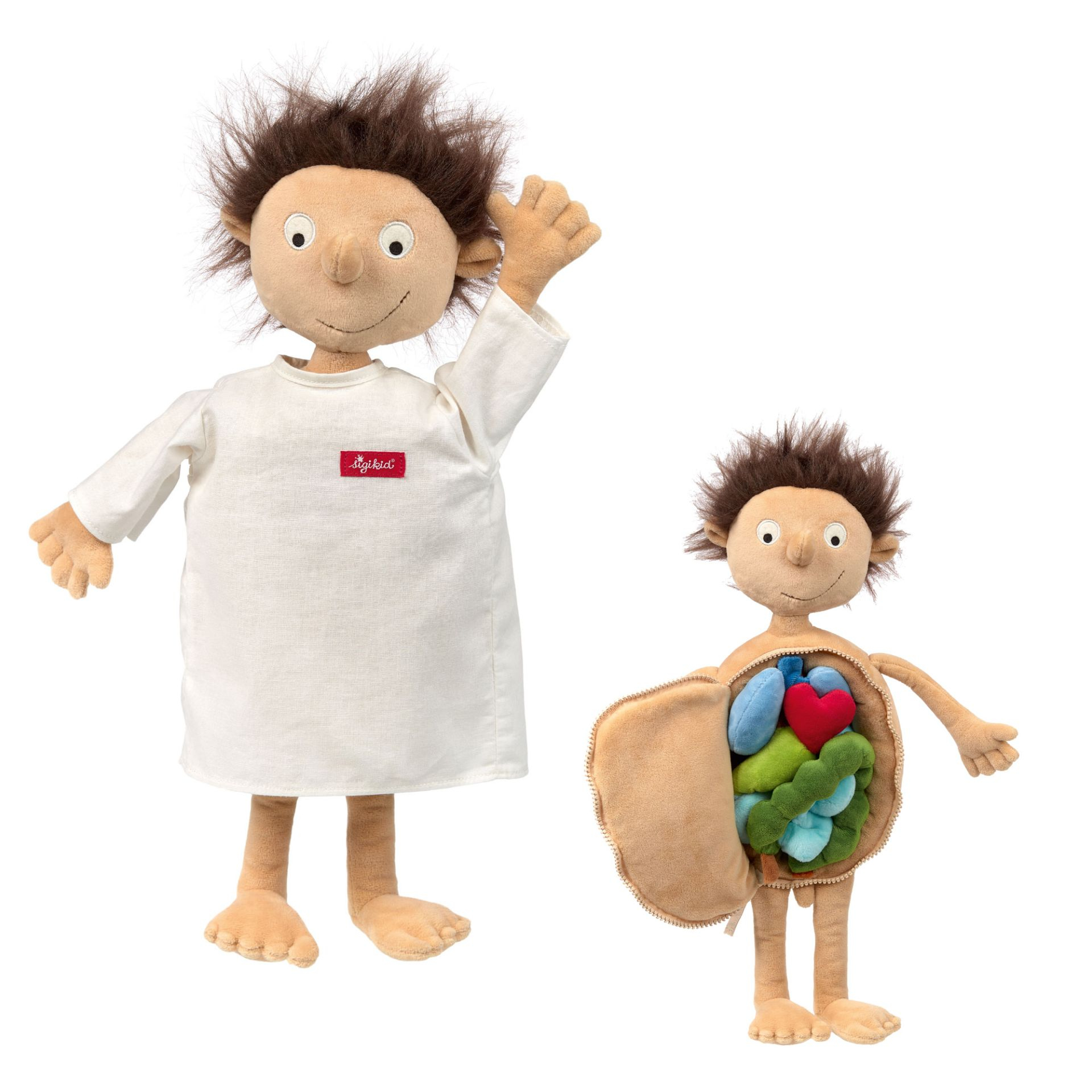 Due bambole di peluche. Quella a destra ha il busto aperto e mostra gli organi. Sfondo bianco.