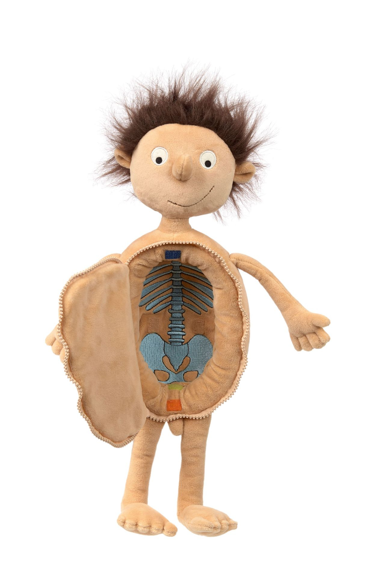 Una bambola di peluche ha il torso aperto che rivela gli organi interni su sfondo bianco. Capelli castani a punta.