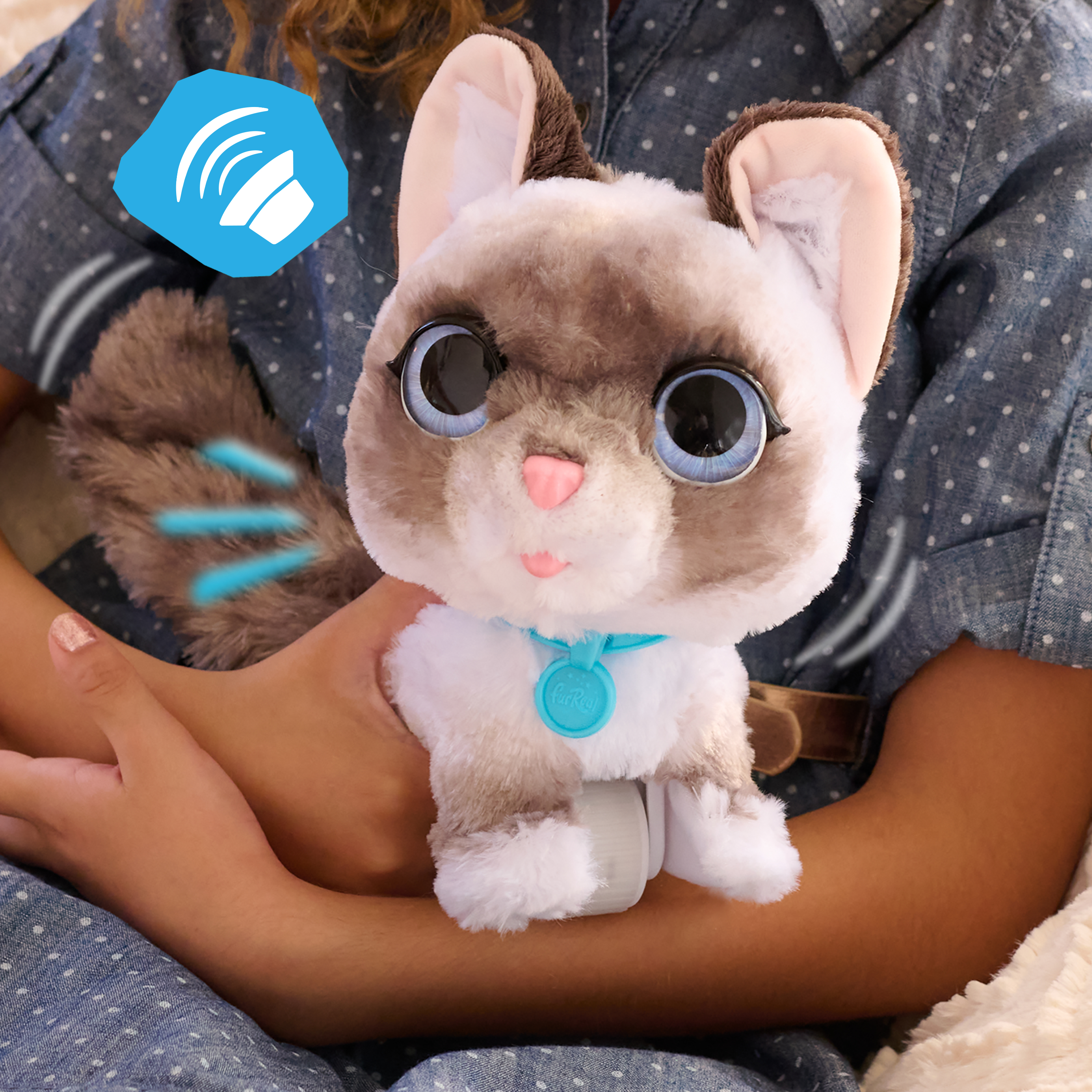 Una persona sosteniendo un gato de juguete con grandes ojos azules. El icono de efecto de sonido está arriba.