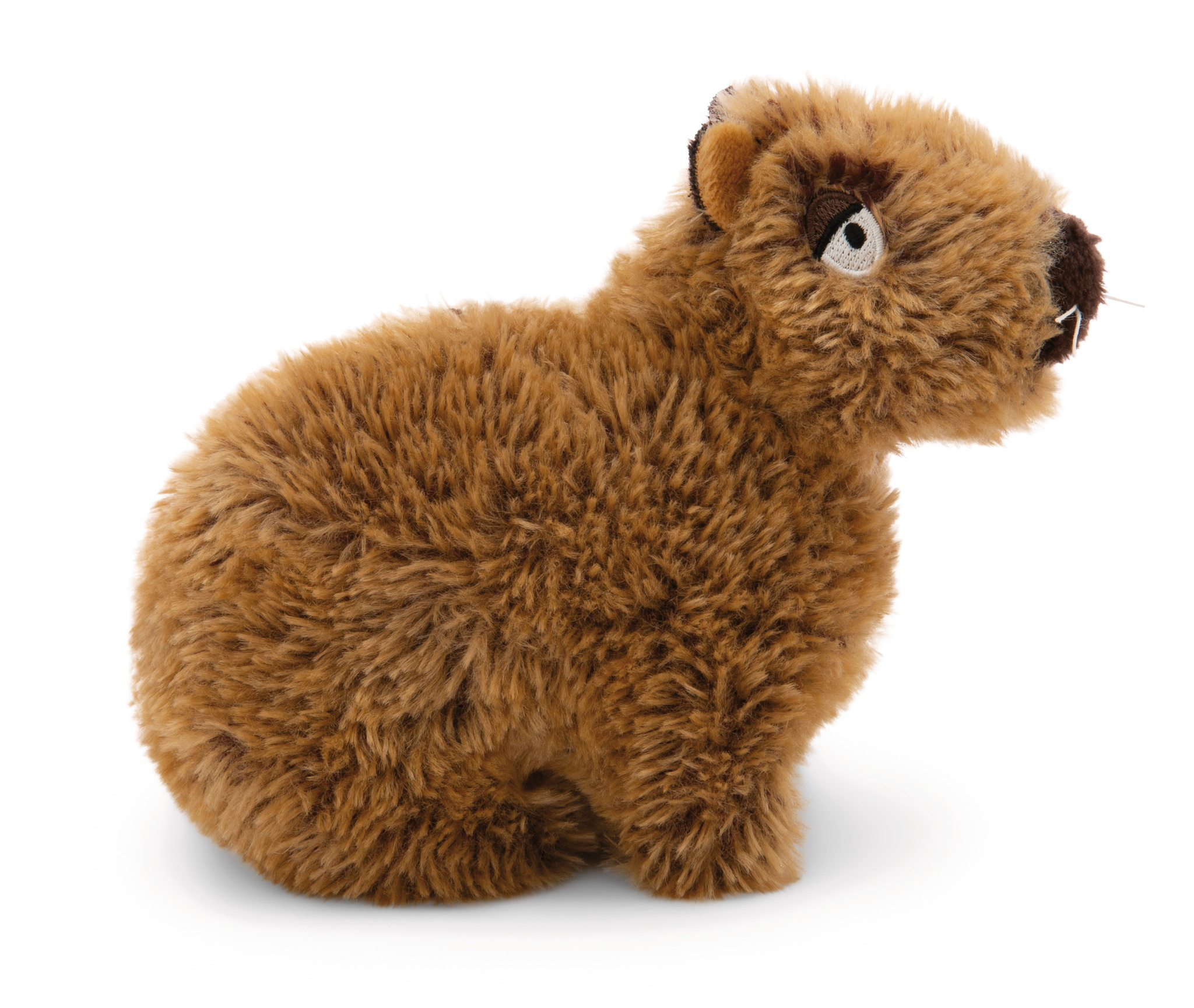 Brązowa pluszowa kapibara. Jest na białym tle.