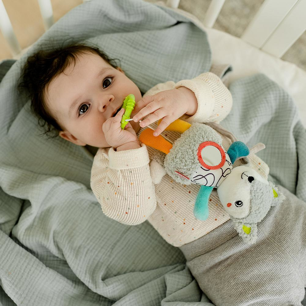 Bambino in culla, gioca con un massaggiagengive verde e un peluche grigio con un giocattolo.