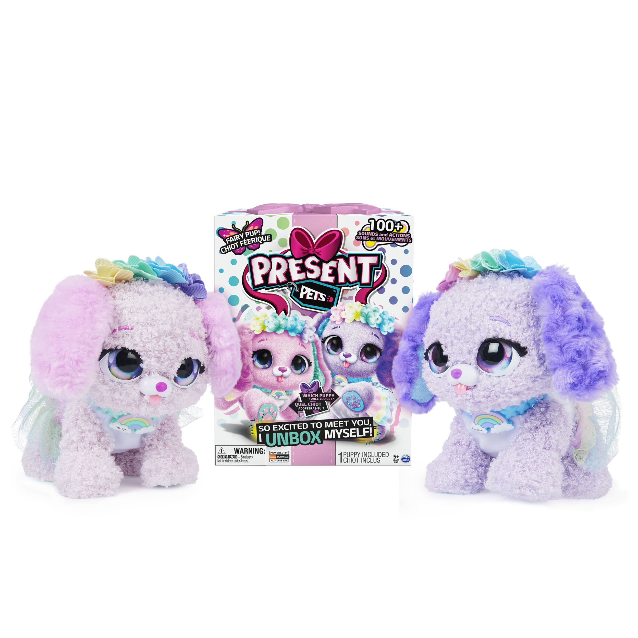 Dwa pluszowe szczeniaki z kwiatowymi koronami i pudełko. Na pudełku znajdują się dwa wizerunki szczeniąt i napis „Present Pets”.