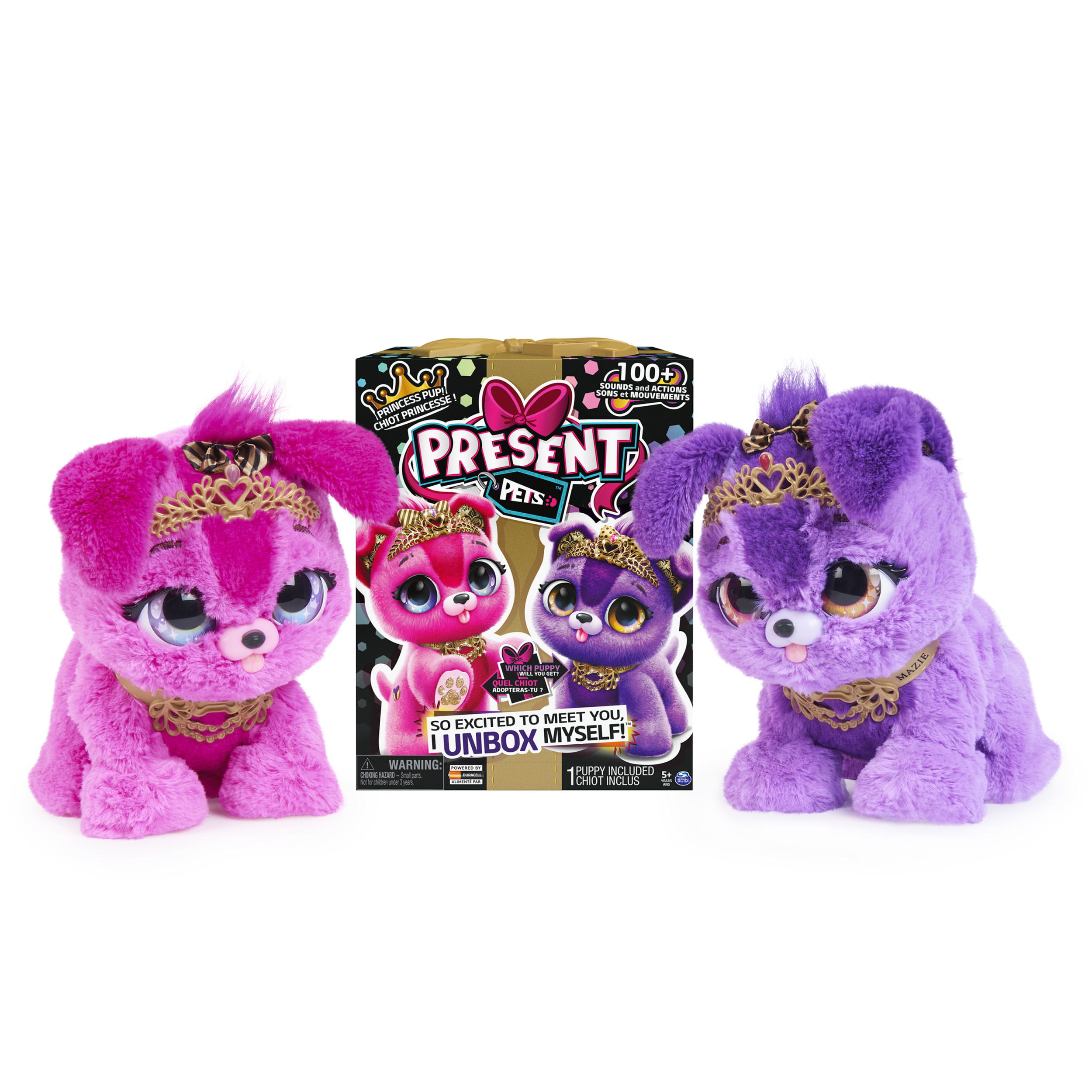 Due cuccioli di peluche con corone. Uno è rosa, l'altro viola, entrambi con dettagli dorati e una scatola.