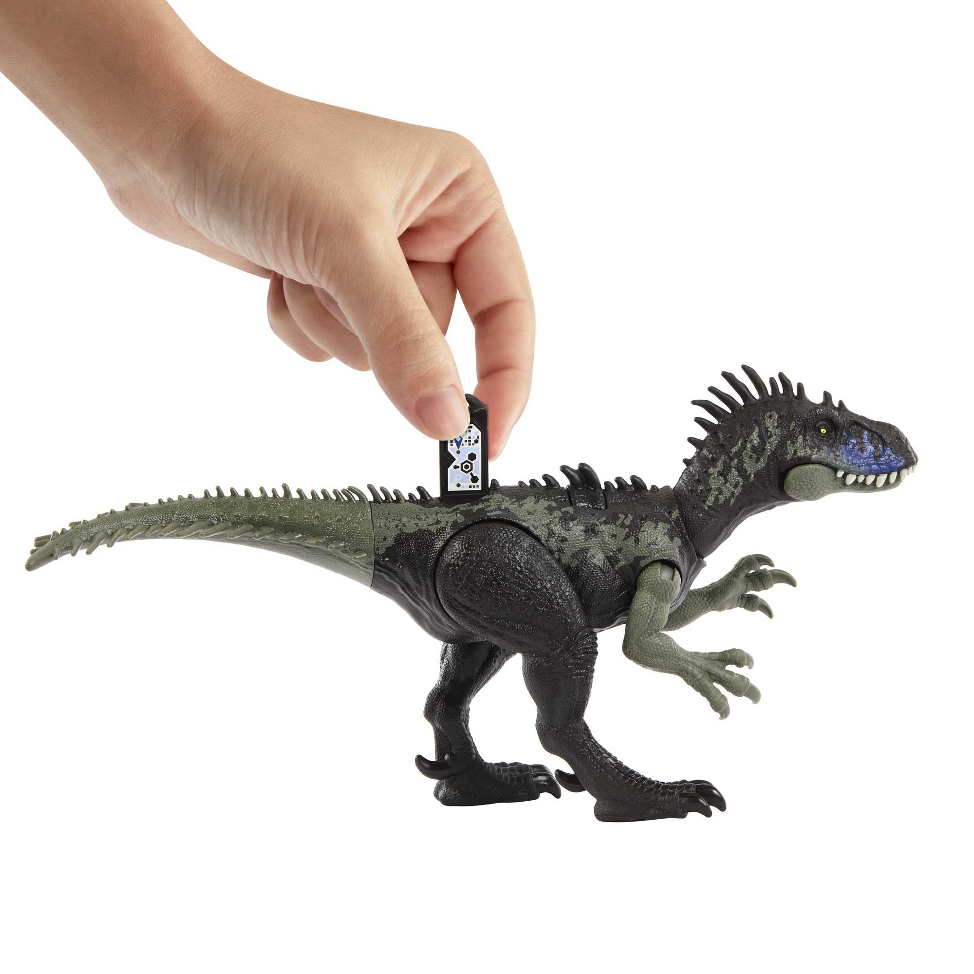 Una mano insertando una tarjeta en un juguete de dinosaurio. El dinosaurio es verde y negro.