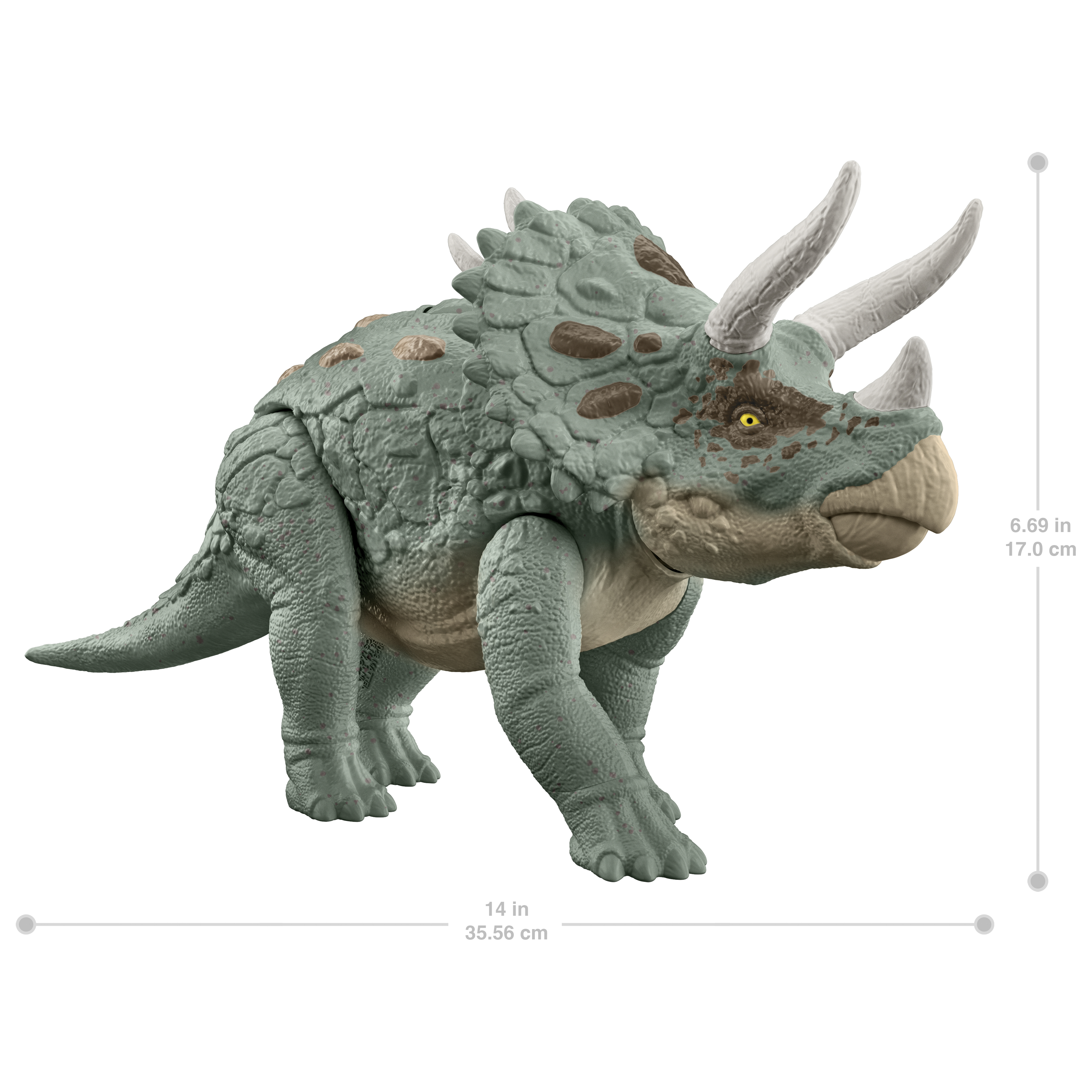 Un juguete de dinosaurio Triceratops verde, con medidas, de pie sobre un fondo blanco.