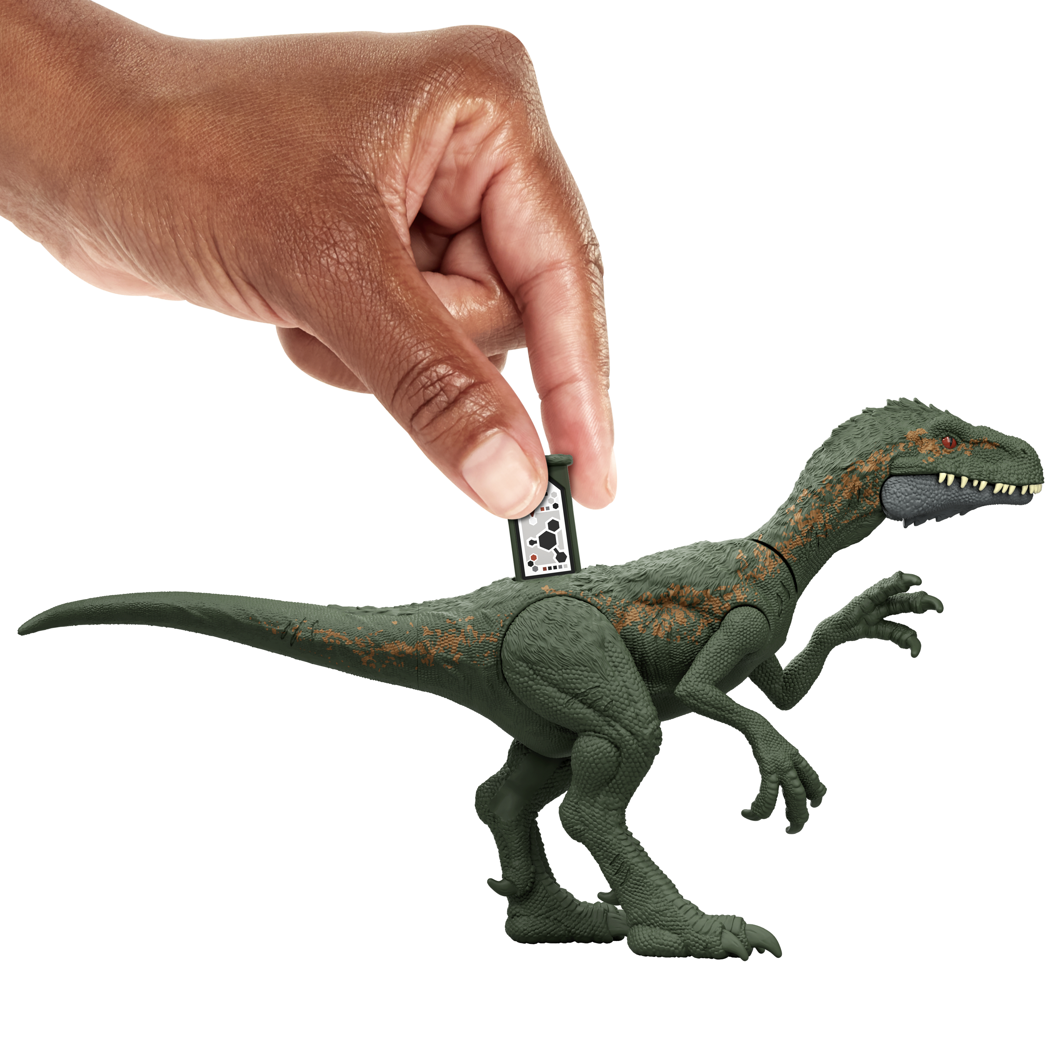 Dłoń trzymająca małą kartę nad zieloną zabawką dinozaura. Zabawka to Welociraptor.