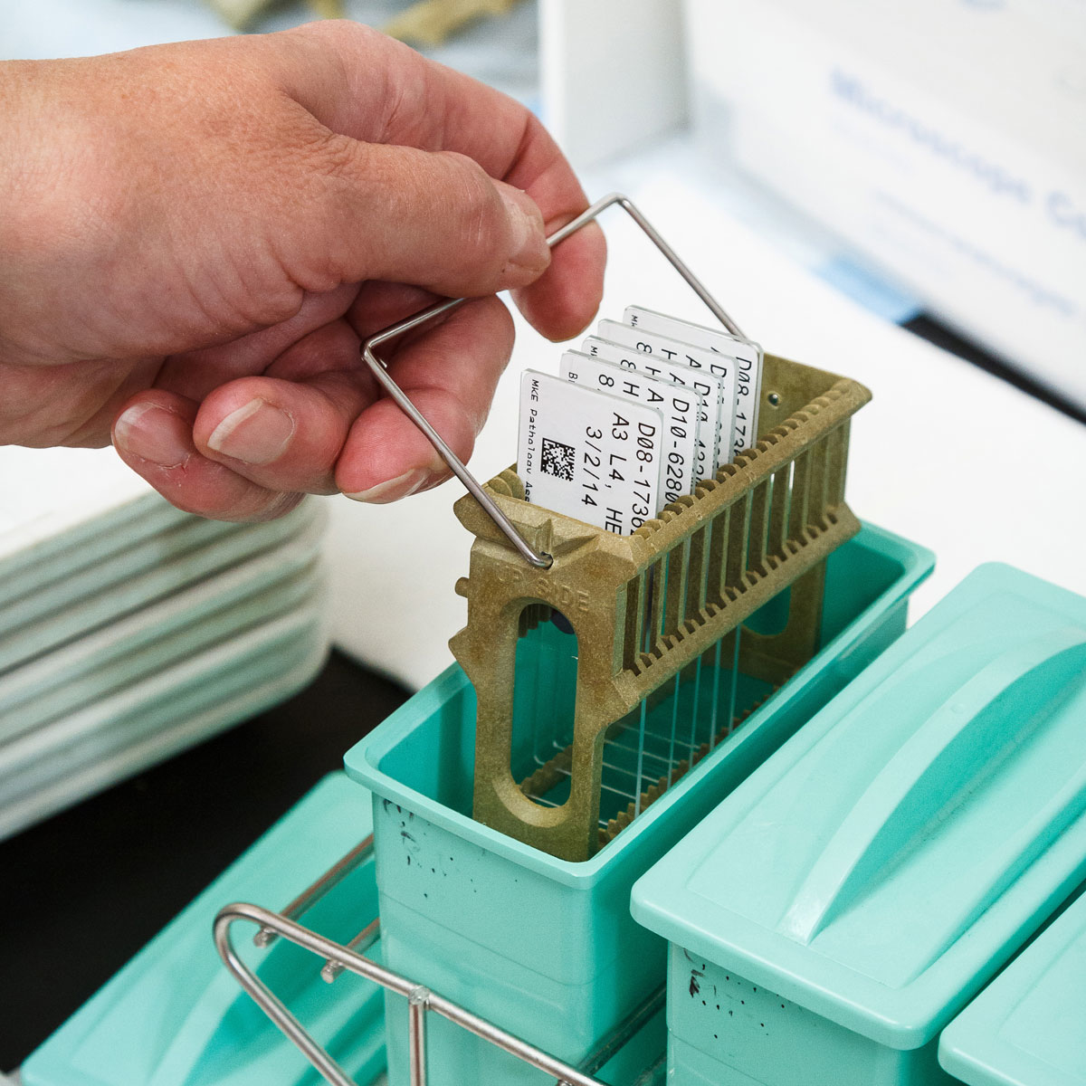 Ręka trzymająca tacę ze szkiełkami w zielonym pojemniku.