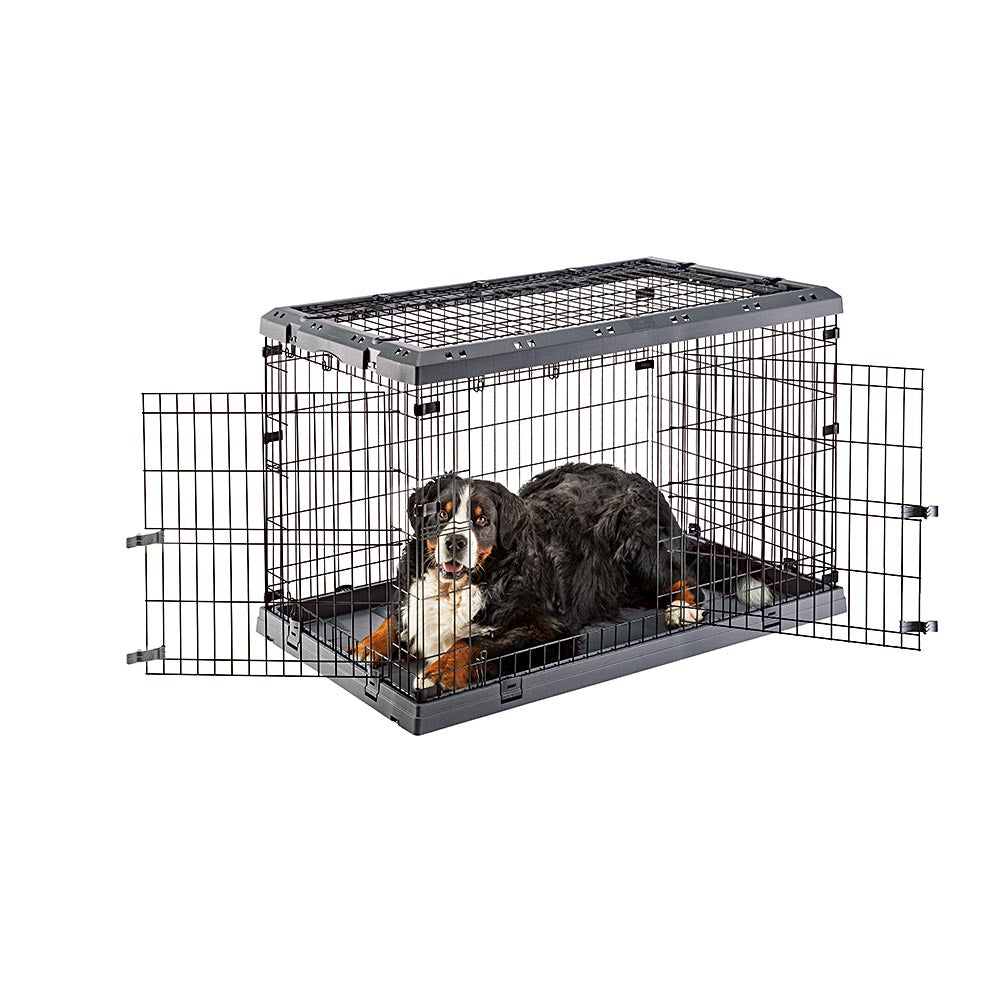 Hund in schwarzer Drahtkiste mit offenen Türen. Weißer Hintergrund.