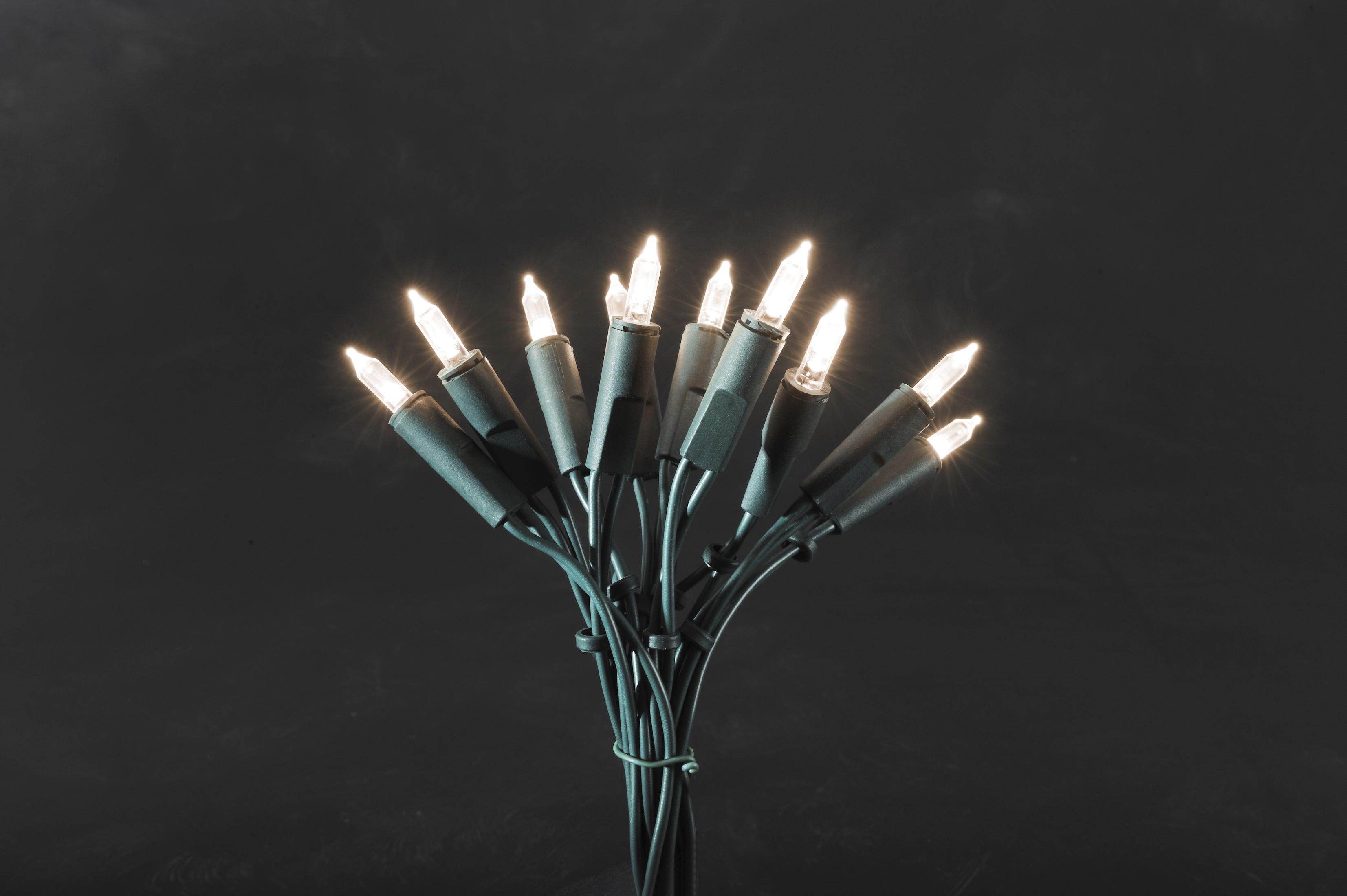 Un fascio di piccole luci a filo, con filo verde e piccole lampadine trasparenti su sfondo scuro.