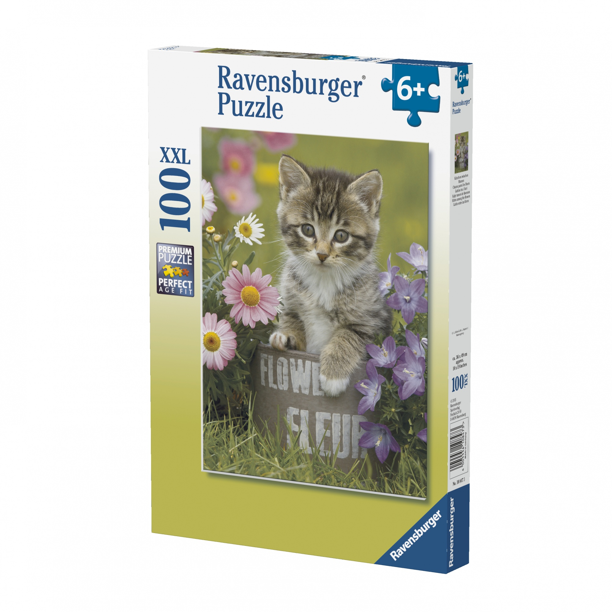 Una scatola di puzzle mostra un gattino tra i fiori. Il gattino è in un secchio di metallo, circondato da fiori.