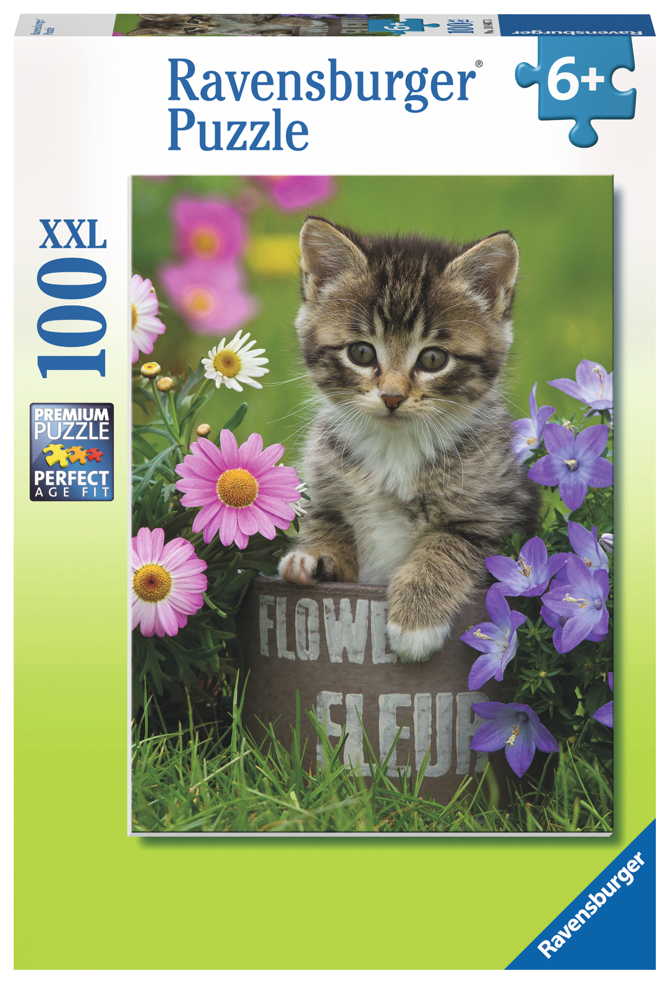 Una scatola di puzzle mostra un gattino tra i fiori. Il gattino è in un secchio di metallo, circondato da fiori.