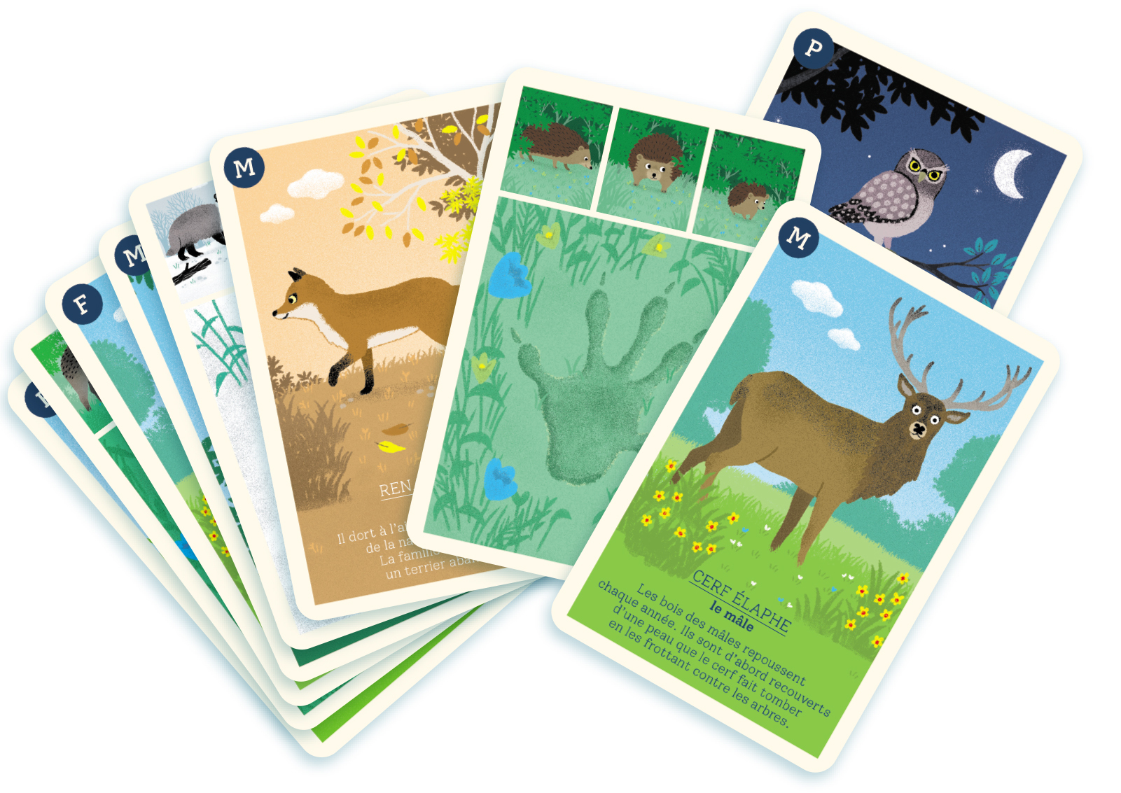 Ein Stapel Tierkarten mit Illustrationen von Wildtieren, darunter ein Fuchs und eine Eule.