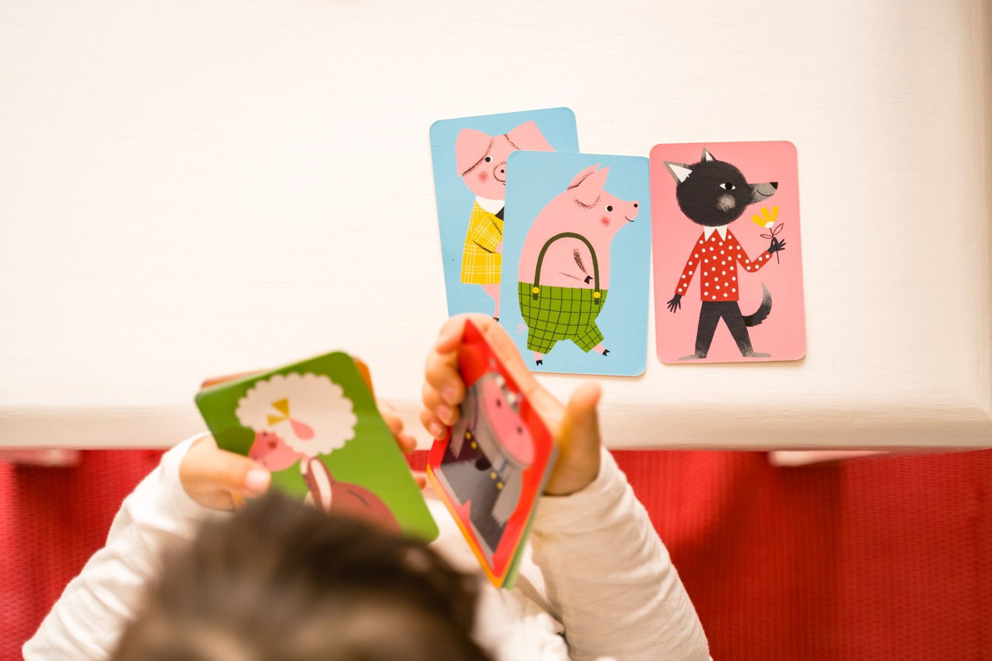 Ręce trzymające karty z świniami i wilkiem. Biały stół, czerwona ściana.