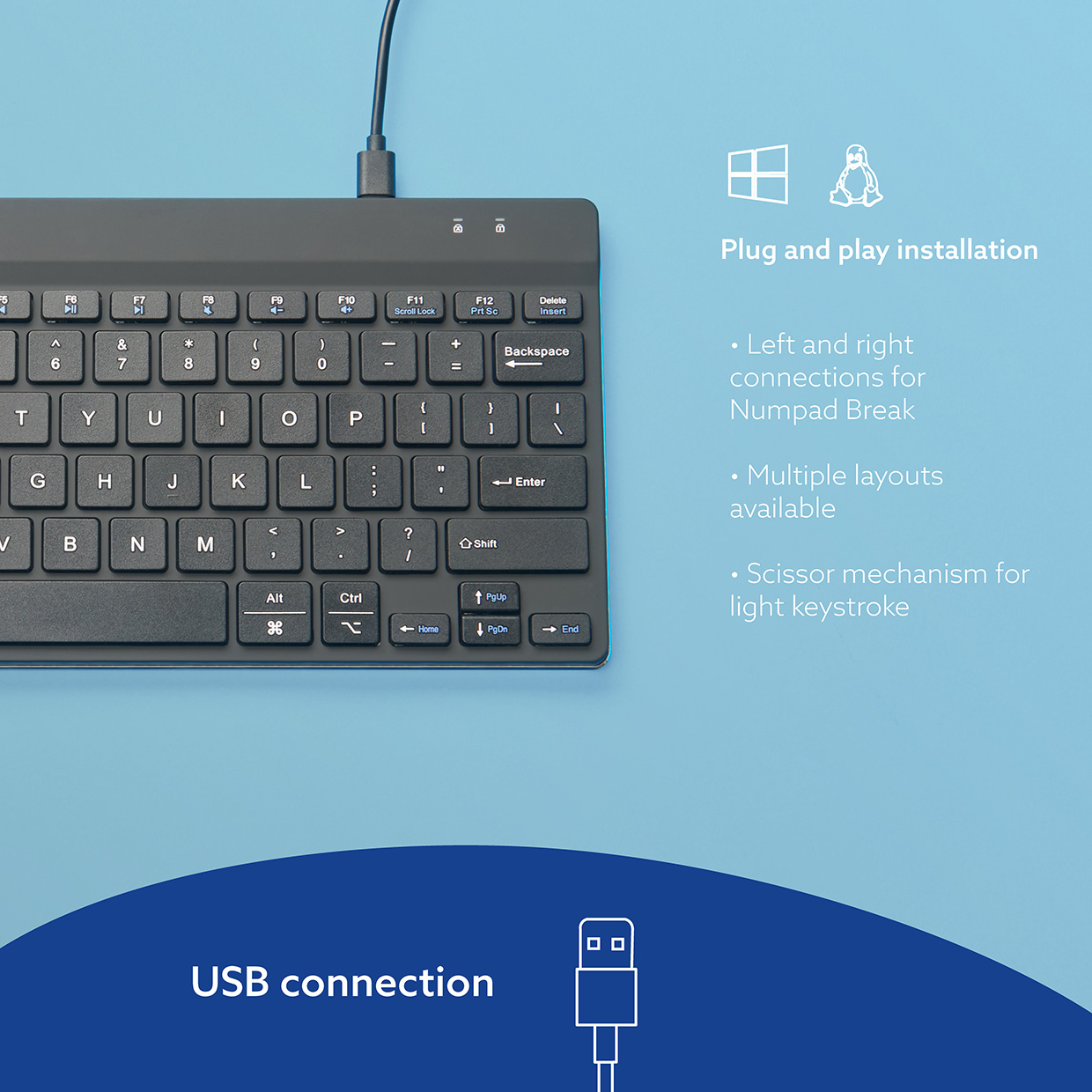 Piccola tastiera nera con connessione USB e un mouse accanto. Testo: Installazione plug and play.