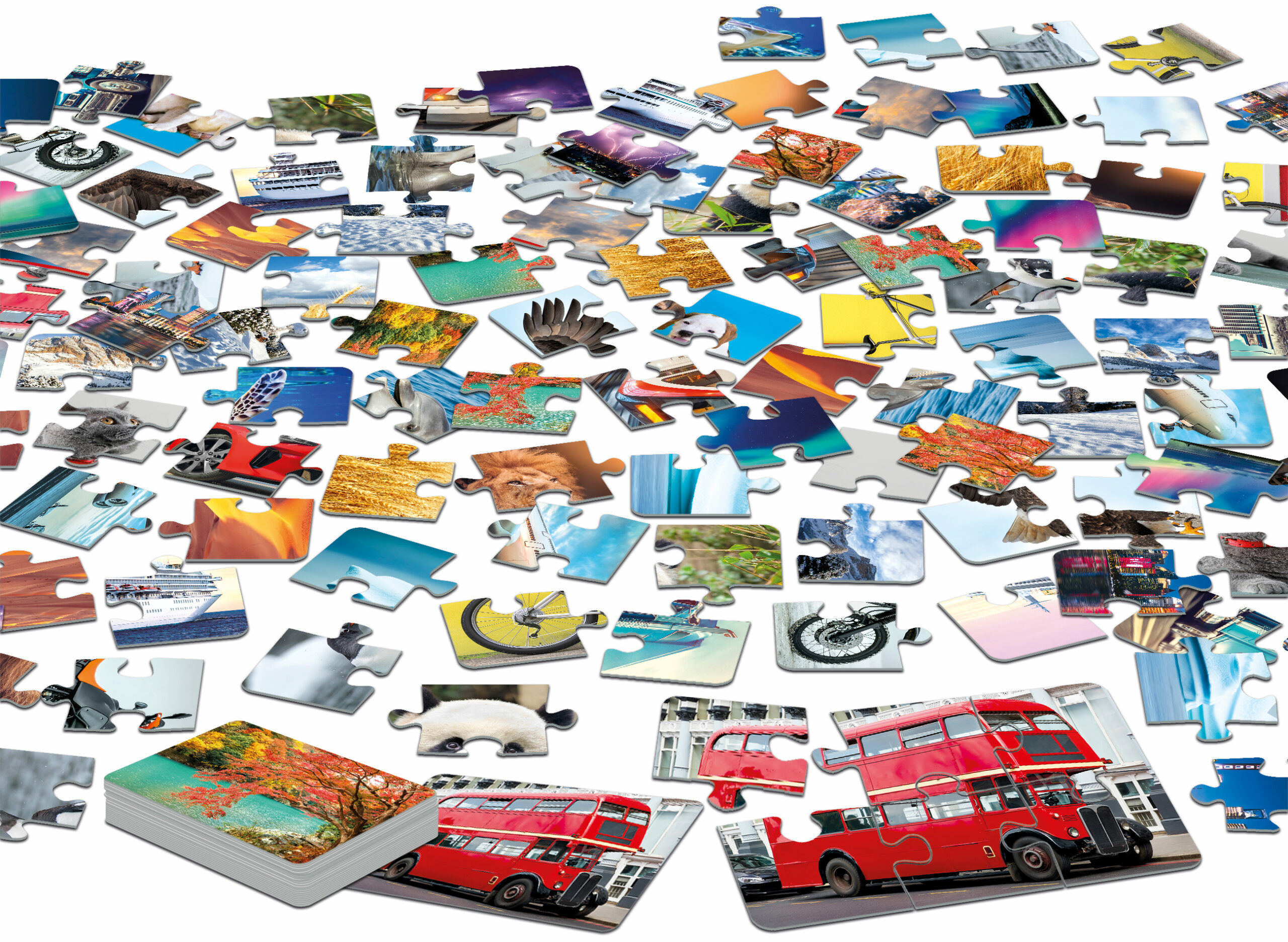 Rozrzucone elementy układanki. Zawiera obrazy zwierząt, zabytków i pojazdów.