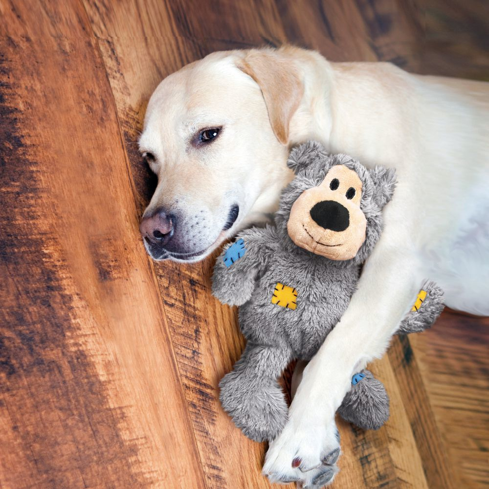 Un cane sdraiato accanto a un orsacchiotto grigio con toppe gialle e blu.