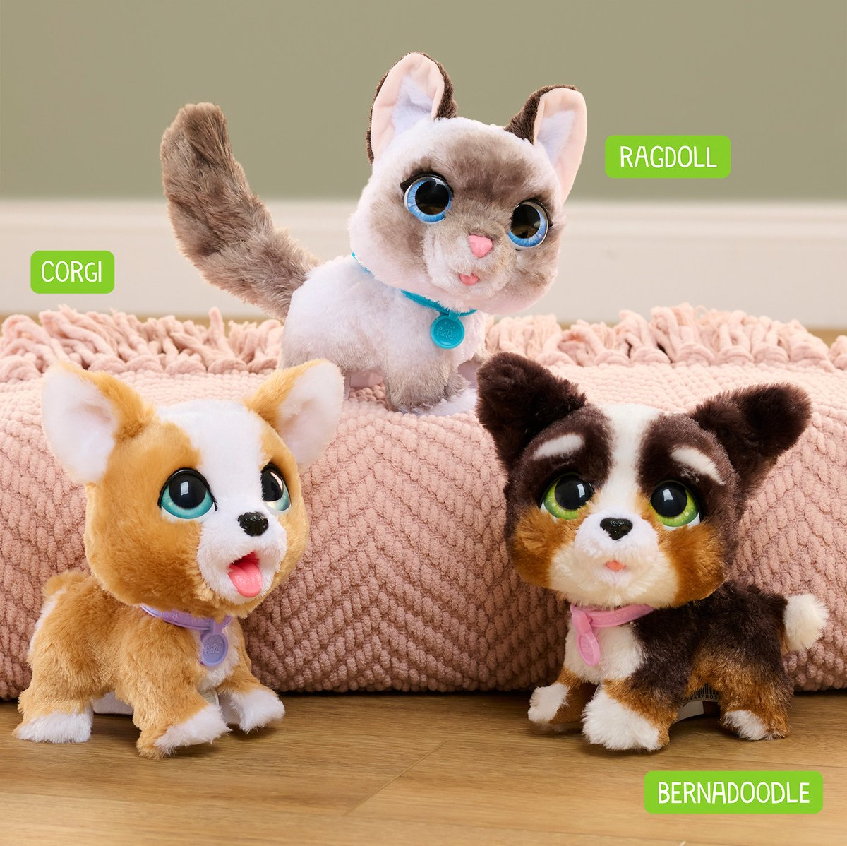 Trois chiens jouets : Corgi, Ragdoll et Bernedoodle, chacun étiqueté, sur une couverture rose.