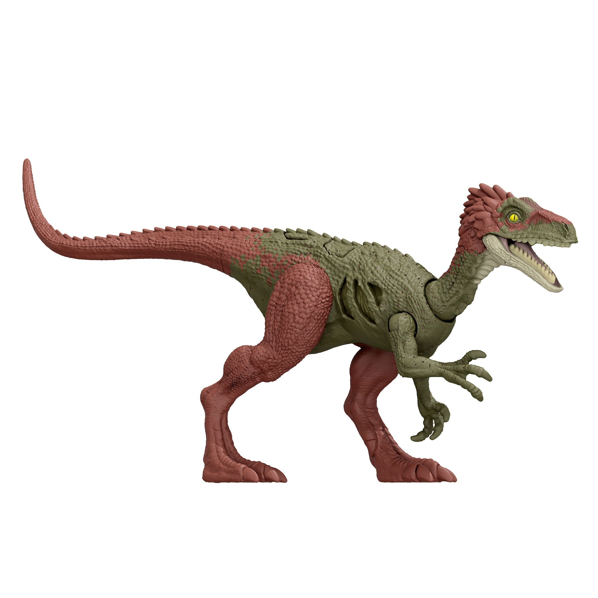 Ein grünes und rotes Dinosaurierspielzeug steht vor einem weißen Hintergrund. Es ist ein Velociraptor, der auf seinen Füßen posiert.