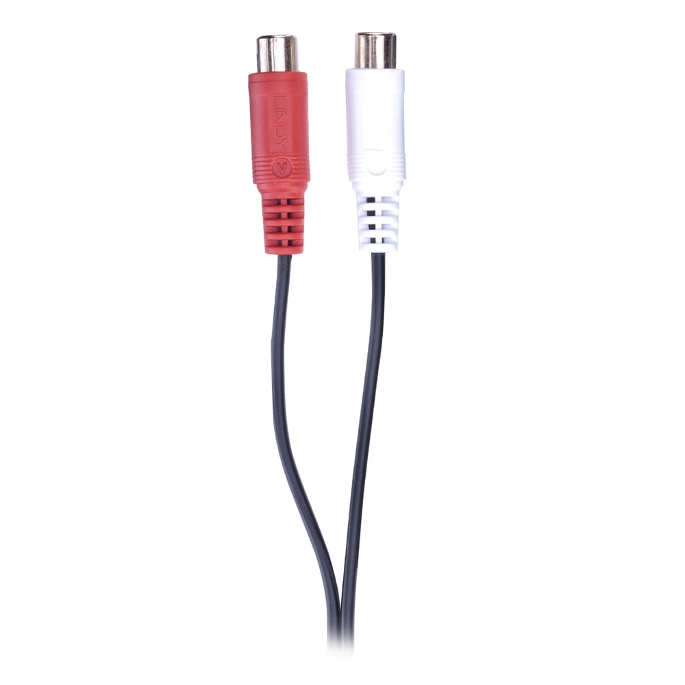 Due cavi neri con connettori RCA rosso e bianco su sfondo bianco.