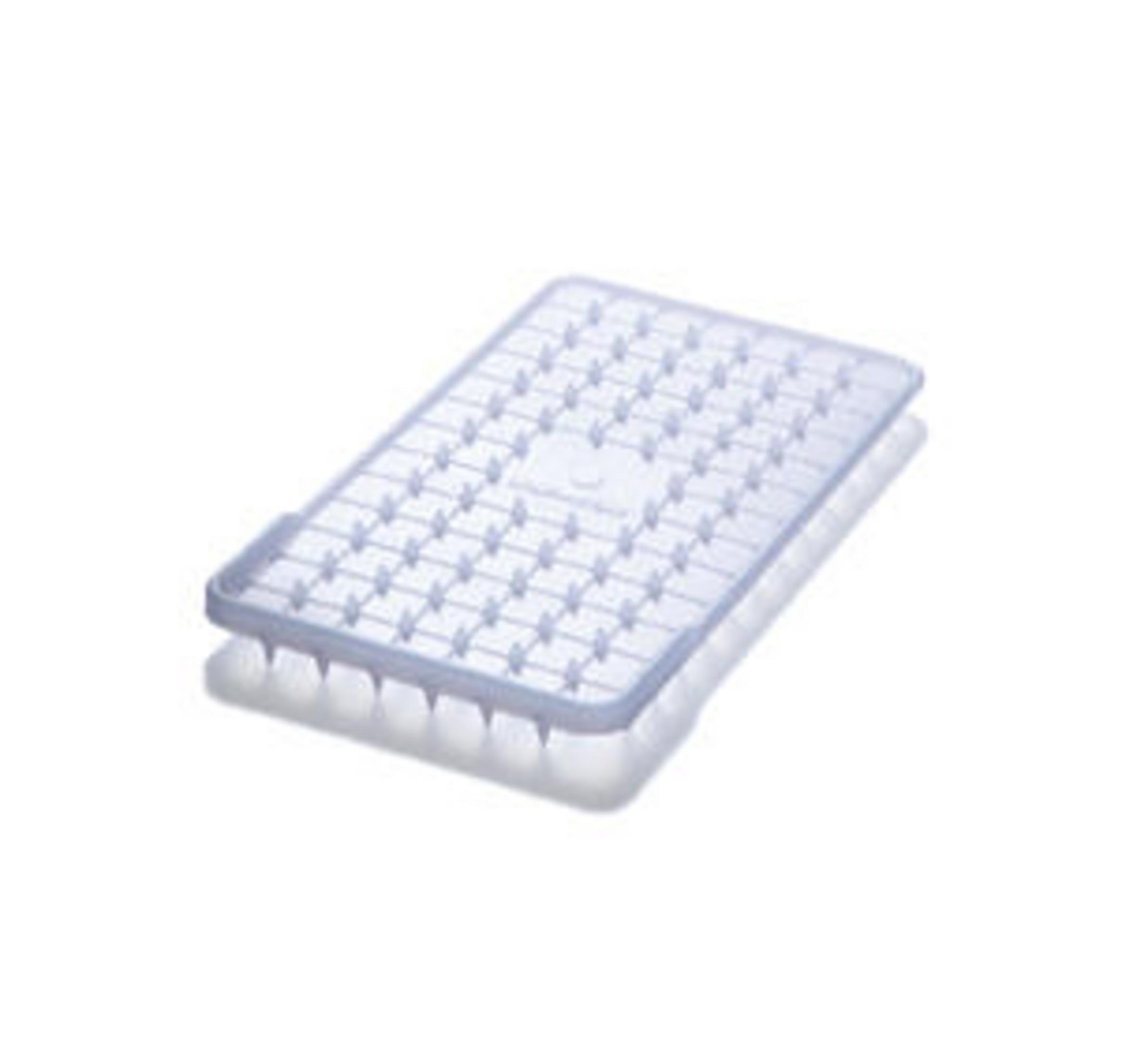 Égouttoir rectangulaire, transparent, avec pointes, fond blanc.