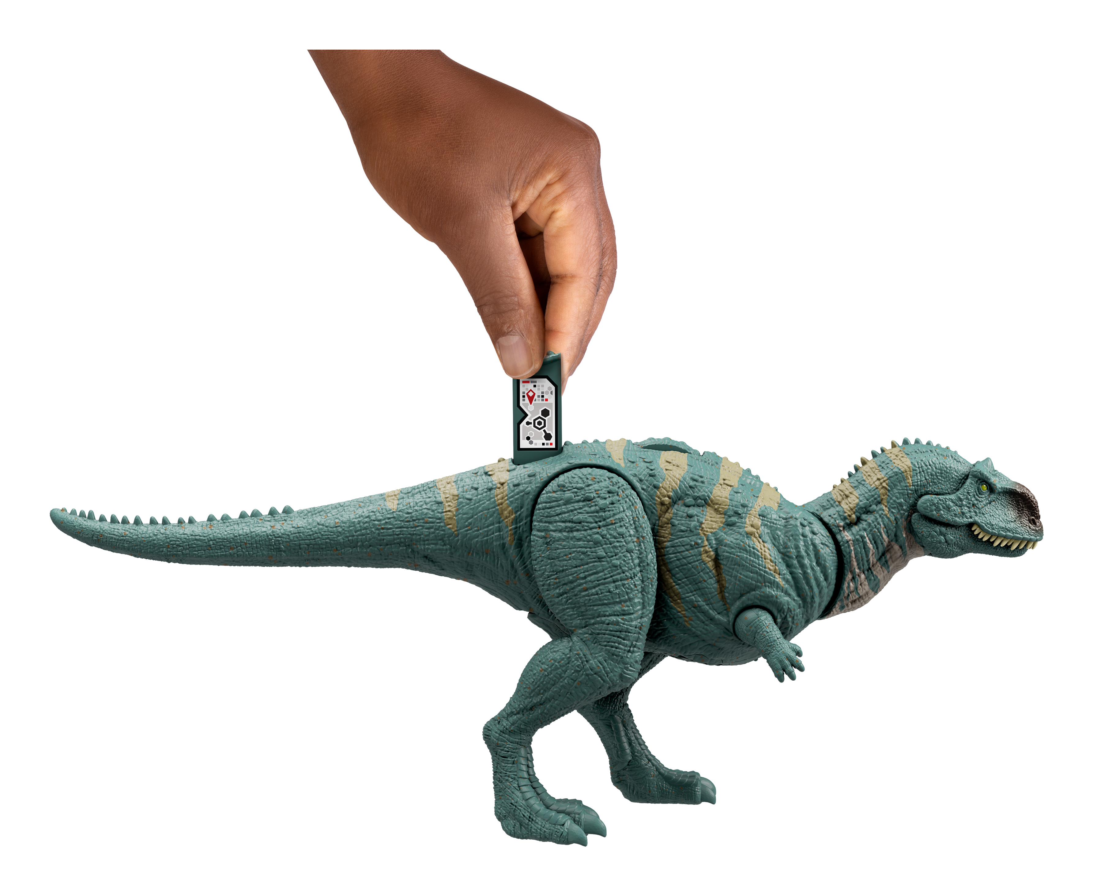 Ręka wkłada kartę w tył niebieskiej i brązowej zabawki dinozaura.