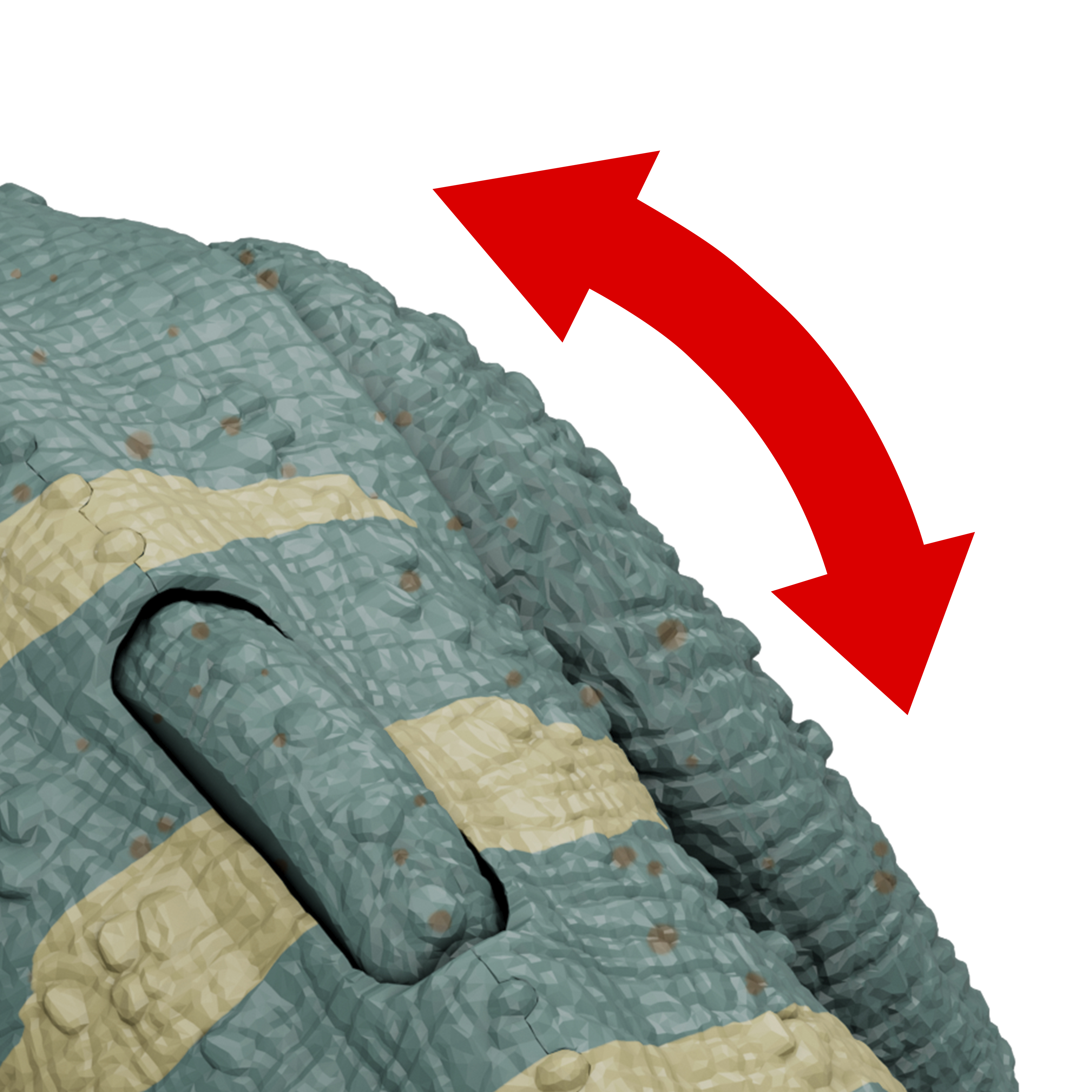 Zbliżenie: czerwona strzałka wskazuje na zawias na niebiesko-brązowej zabawce dinozaura.