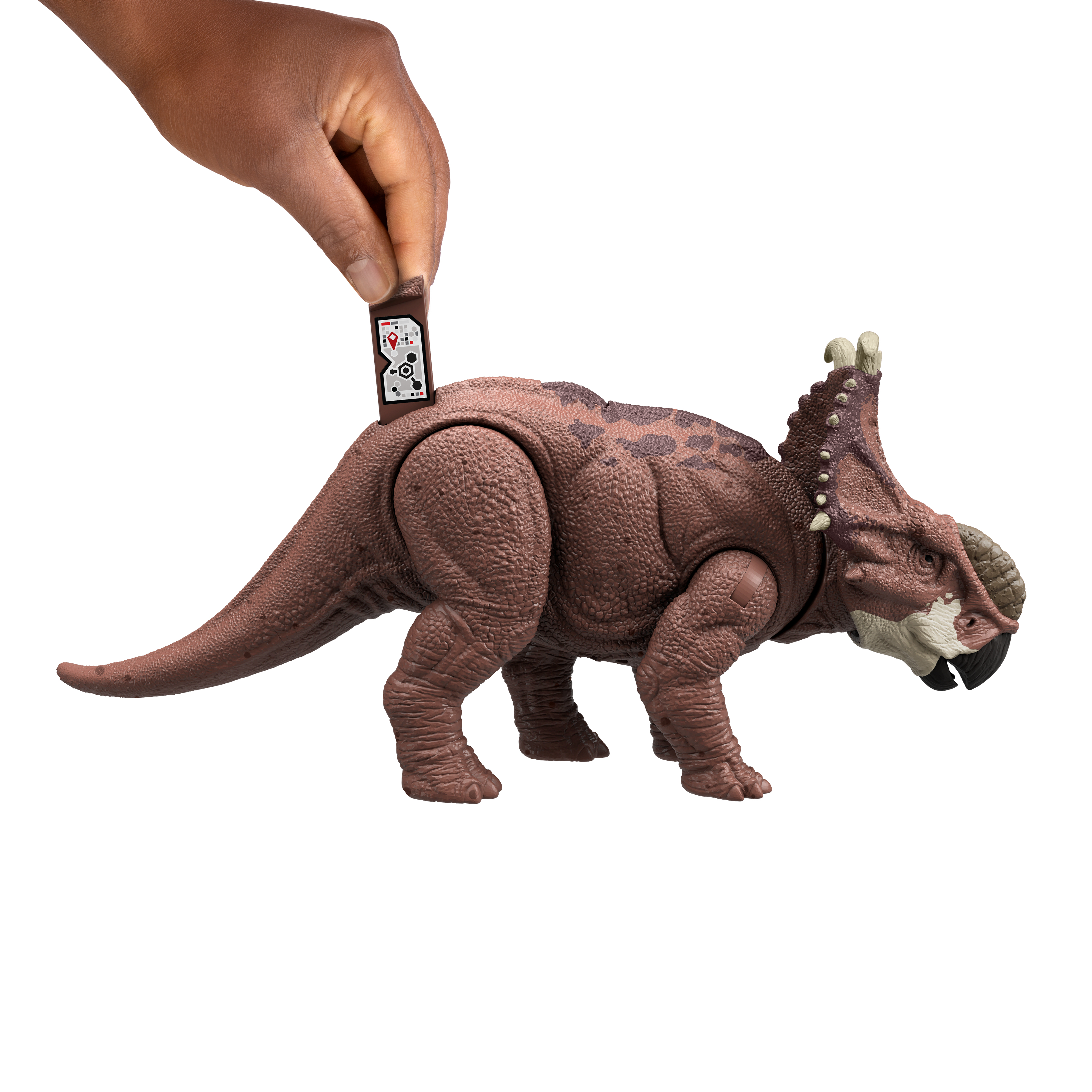 Una mano inserta una tarjeta en un juguete de dinosaurio marrón. El juguete es un Styracosaurus. Fondo blanco.