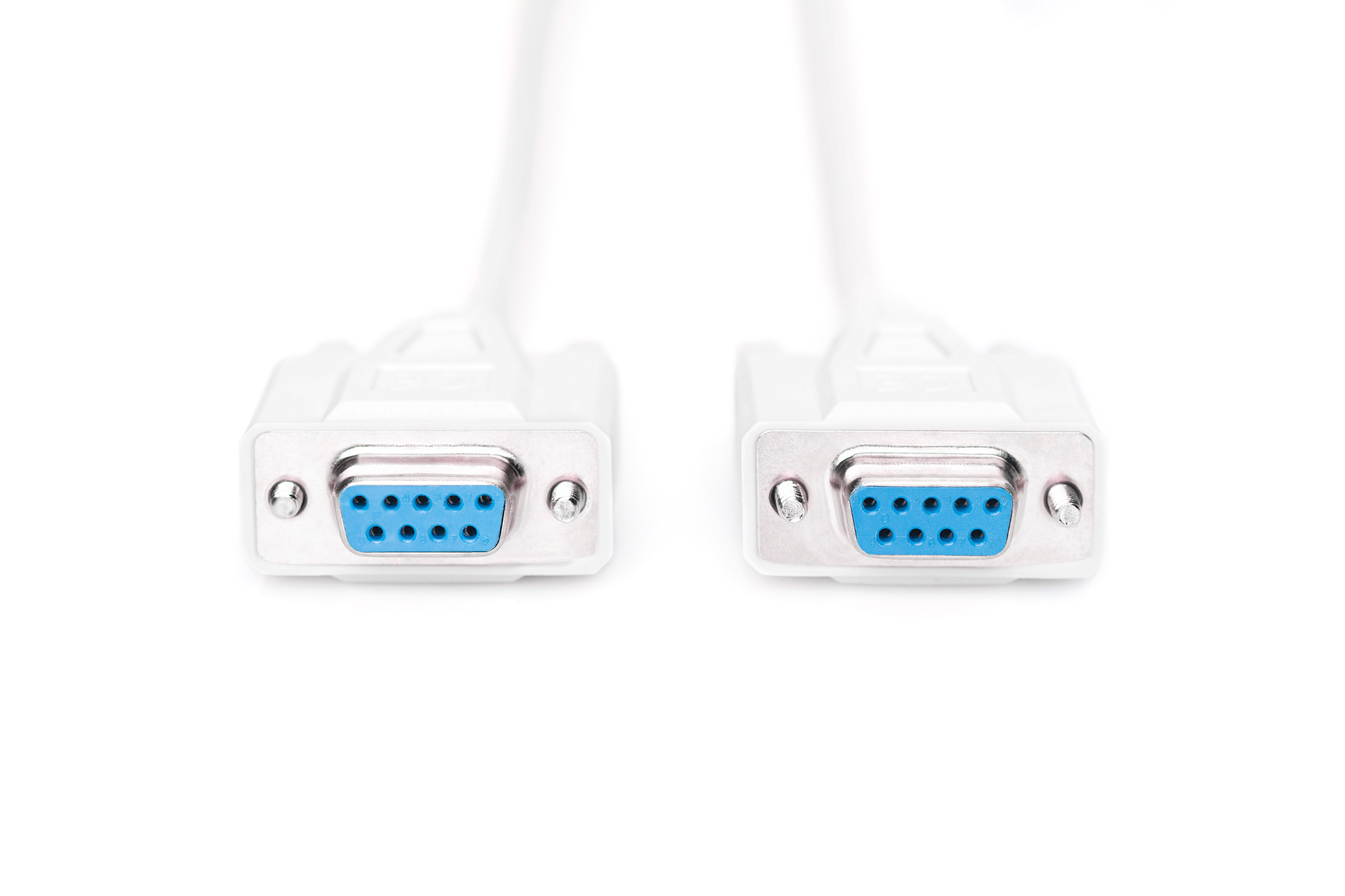 Due connettori VGA bianchi con array di pin blu su una superficie bianca.