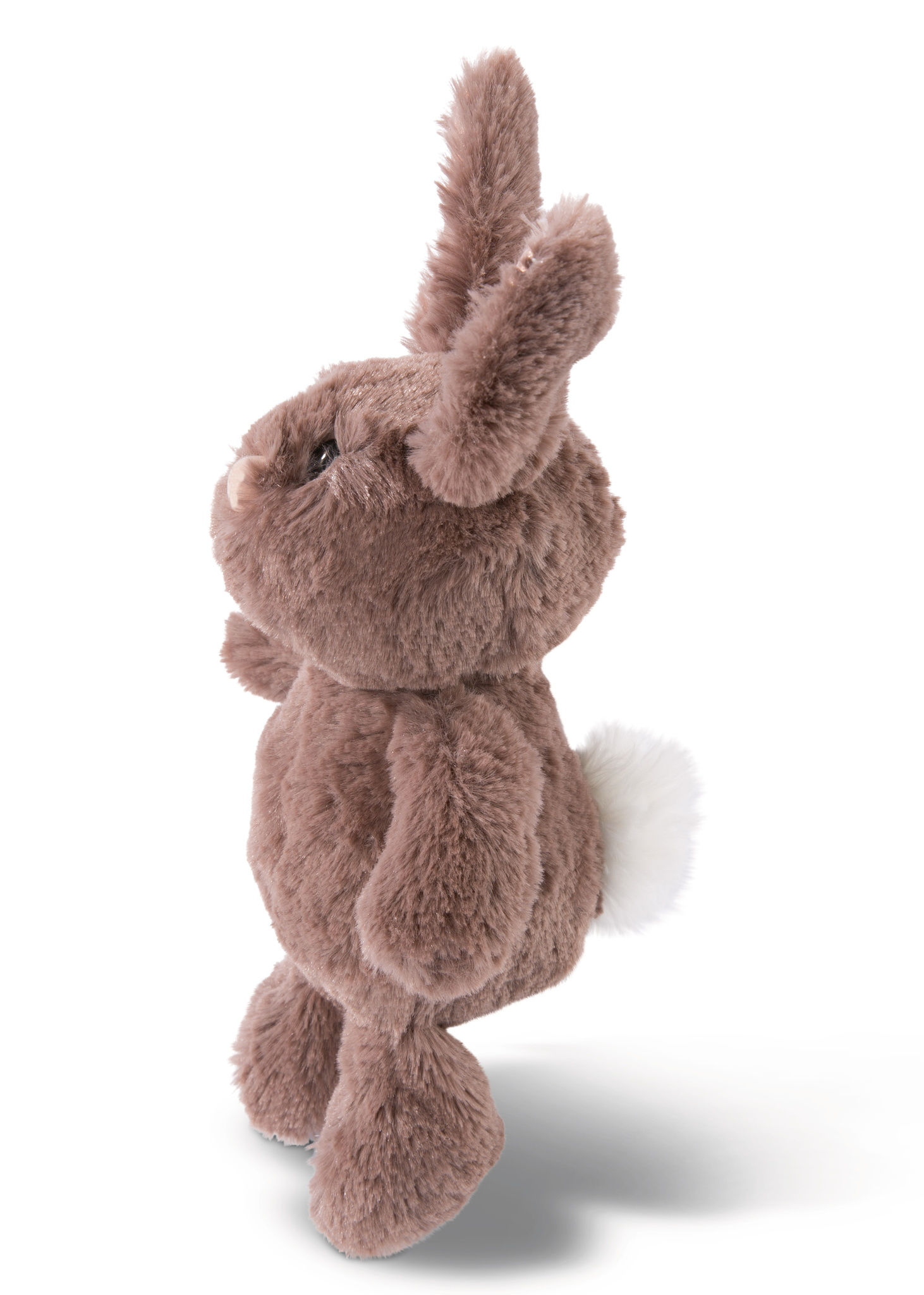 Un coniglio di peluche marrone con coda bianca, vista laterale, su sfondo bianco.
