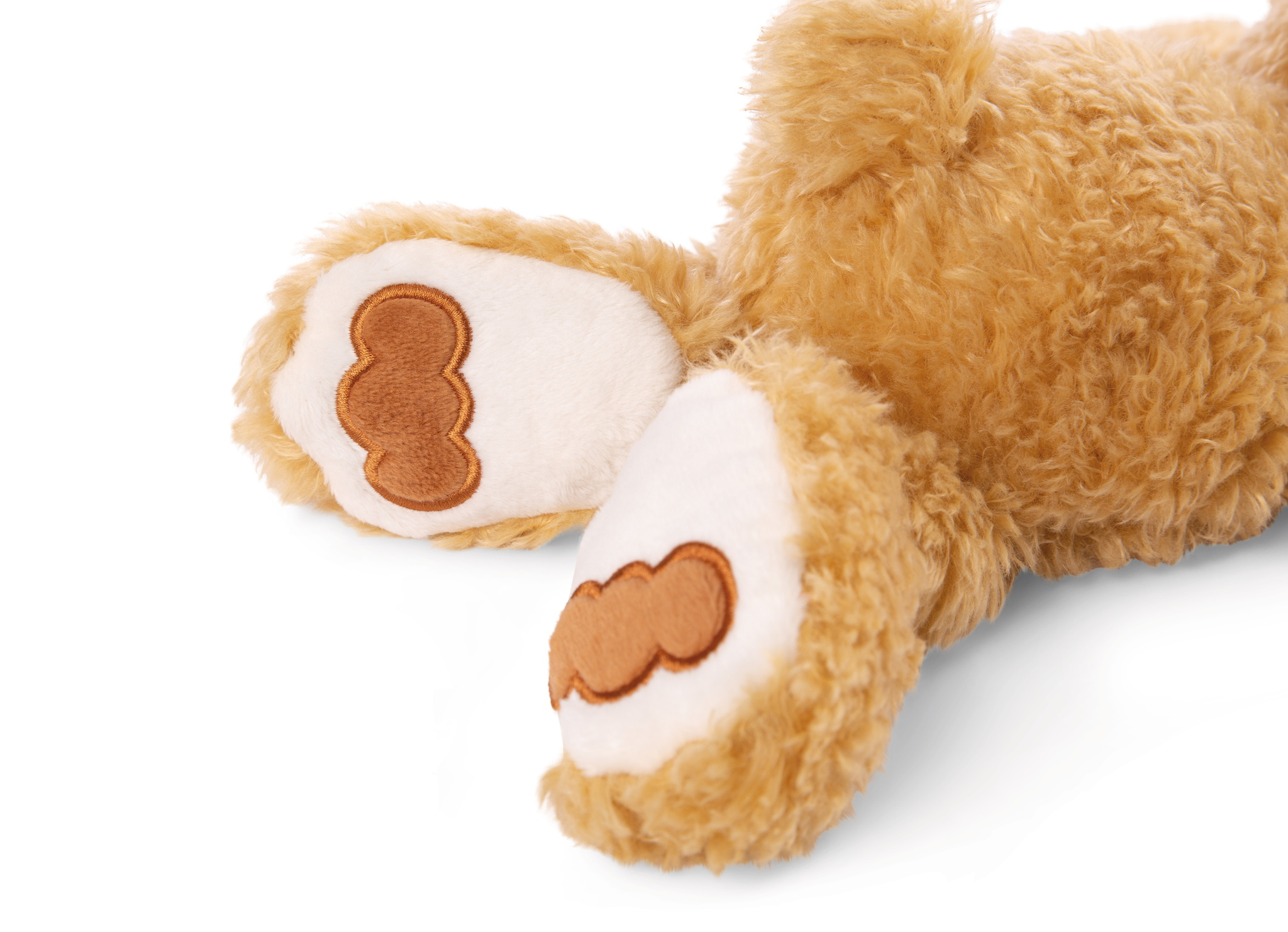 Zampe di orso marroni con suole bianche e cuscinetti marroni, su uno sfondo bianco.