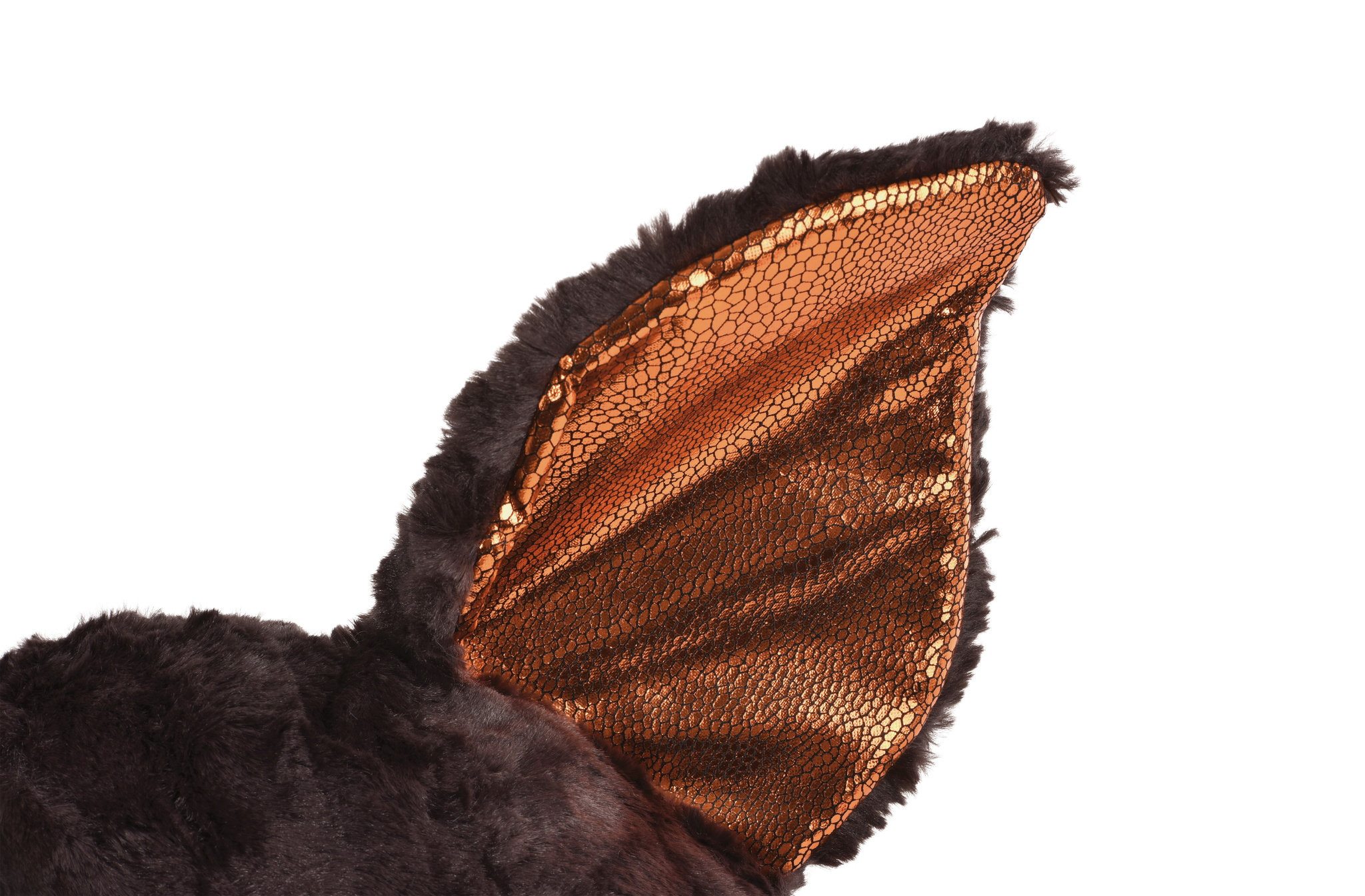 Zbliżenie czarnego, futrzanego ucha z wnętrzem z cekinów w kolorze miedzi. Białe tło.