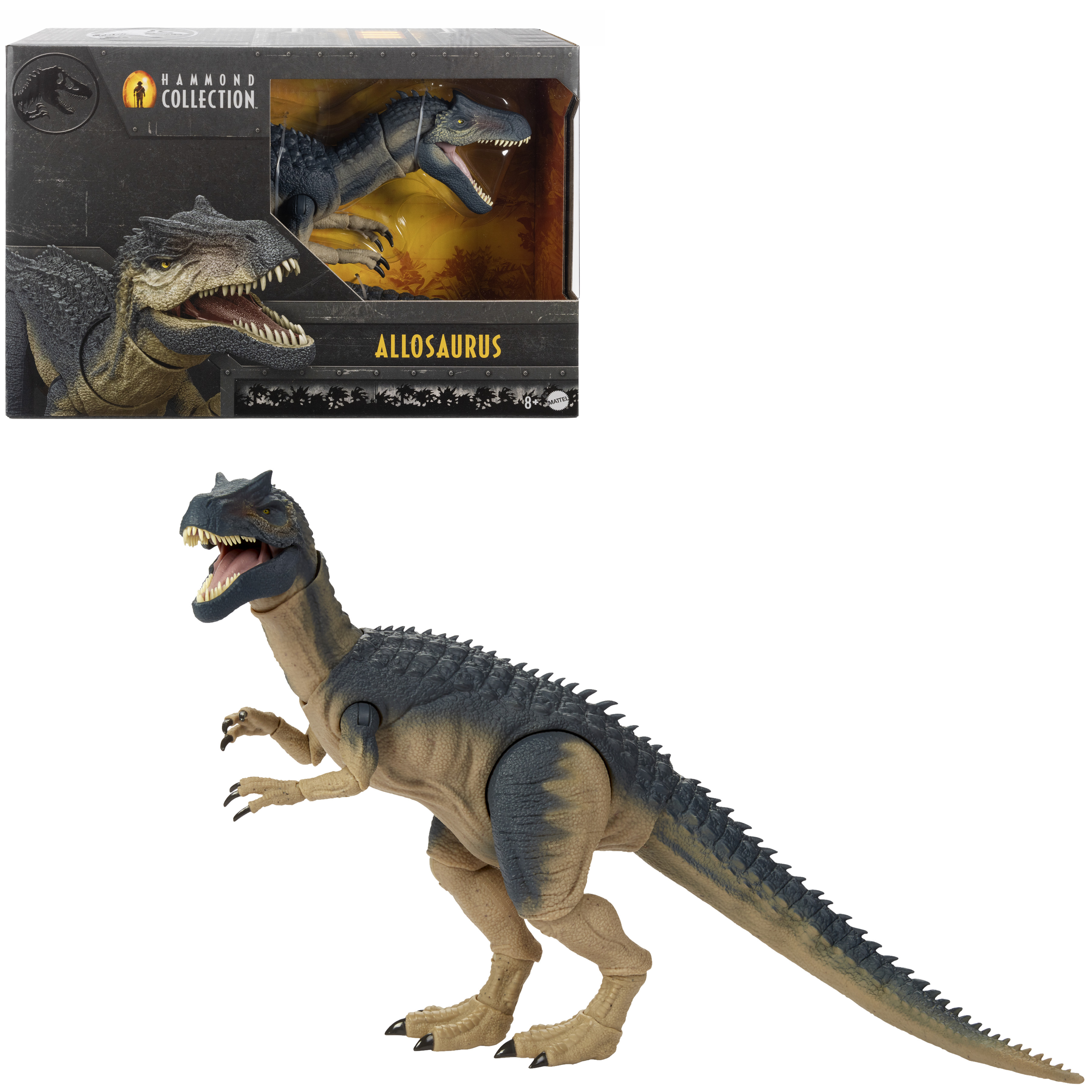 Giocattolo e scatola di Allosaurus. Il dinosauro è blu e marrone chiaro. La scatola mostra il modello e il nome.