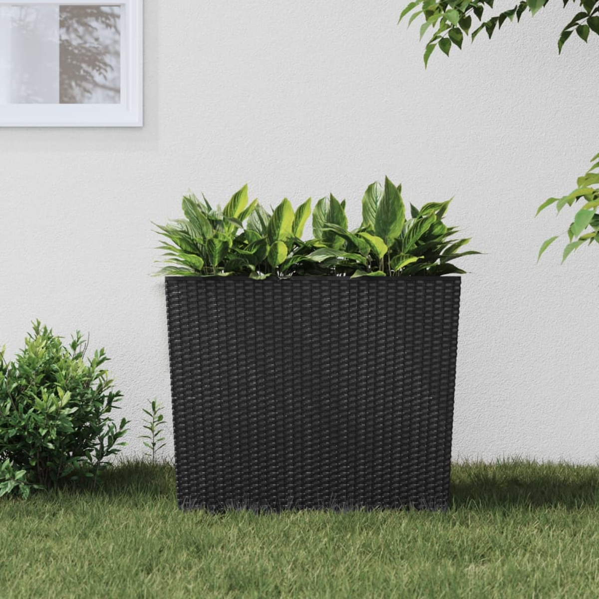 Schwarzer Pflanzkübel auf grünem Gras mit grünen Pflanzen. Weiße Wand und ein Rahmen im Hintergrund.