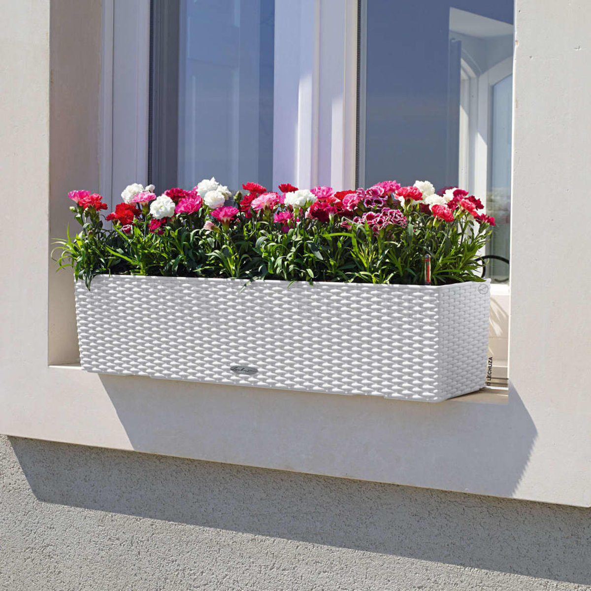 Bac à fleurs blanc avec des fleurs colorées sur un rebord de fenêtre. Fenêtre et mur en arrière-plan.