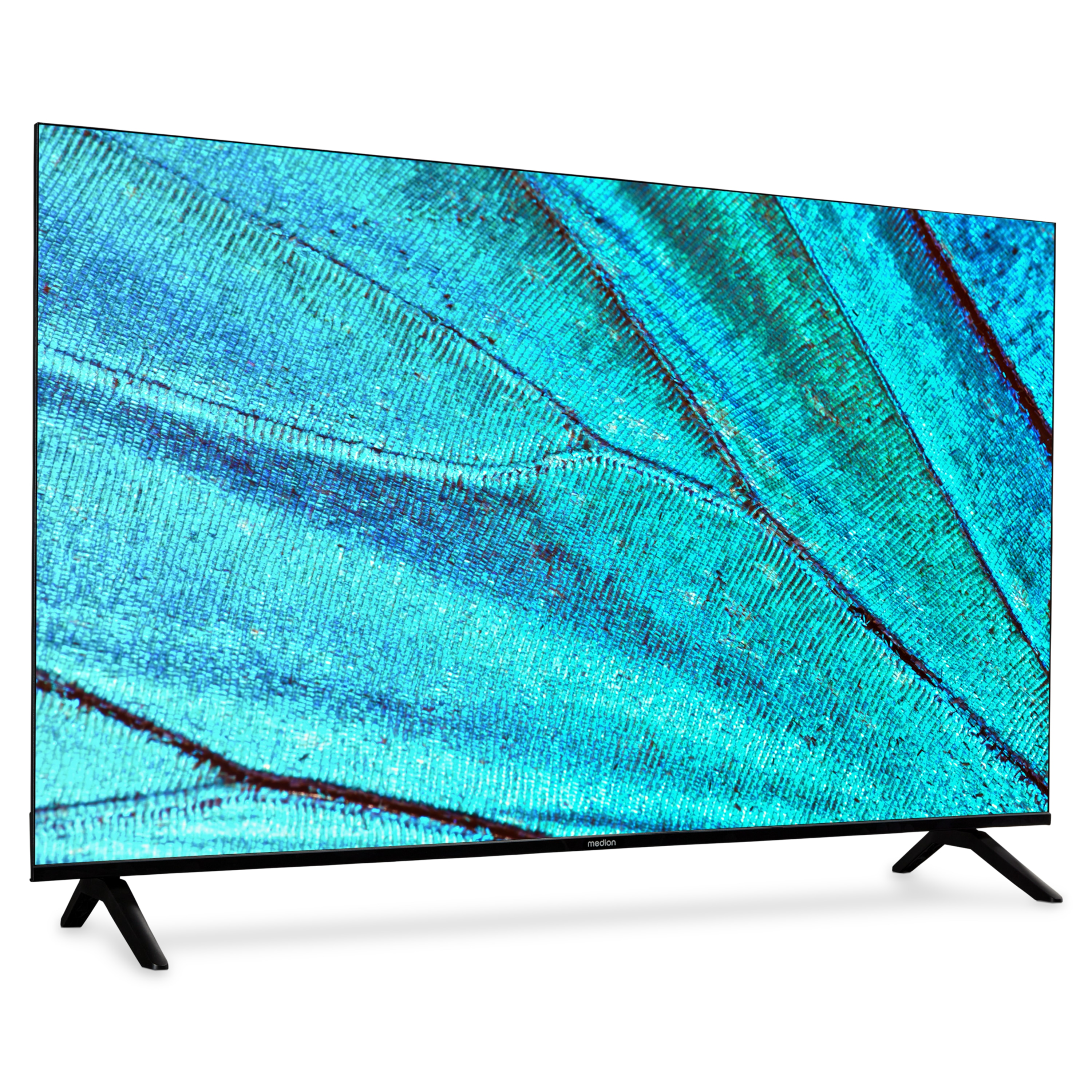 Tv-scherm met een close-up van een blauwe vlindervleugel met zwarte poten.