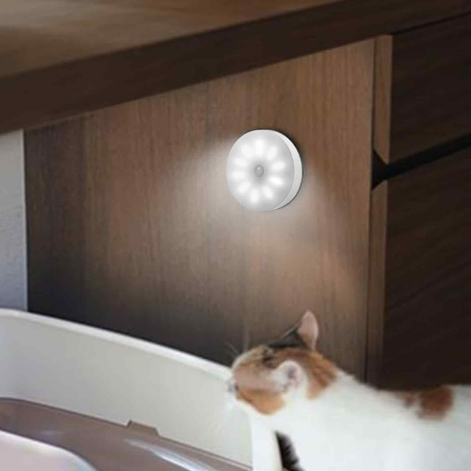 Weißes rundes Licht an braunem Schrank. Eine Katze ist davor.