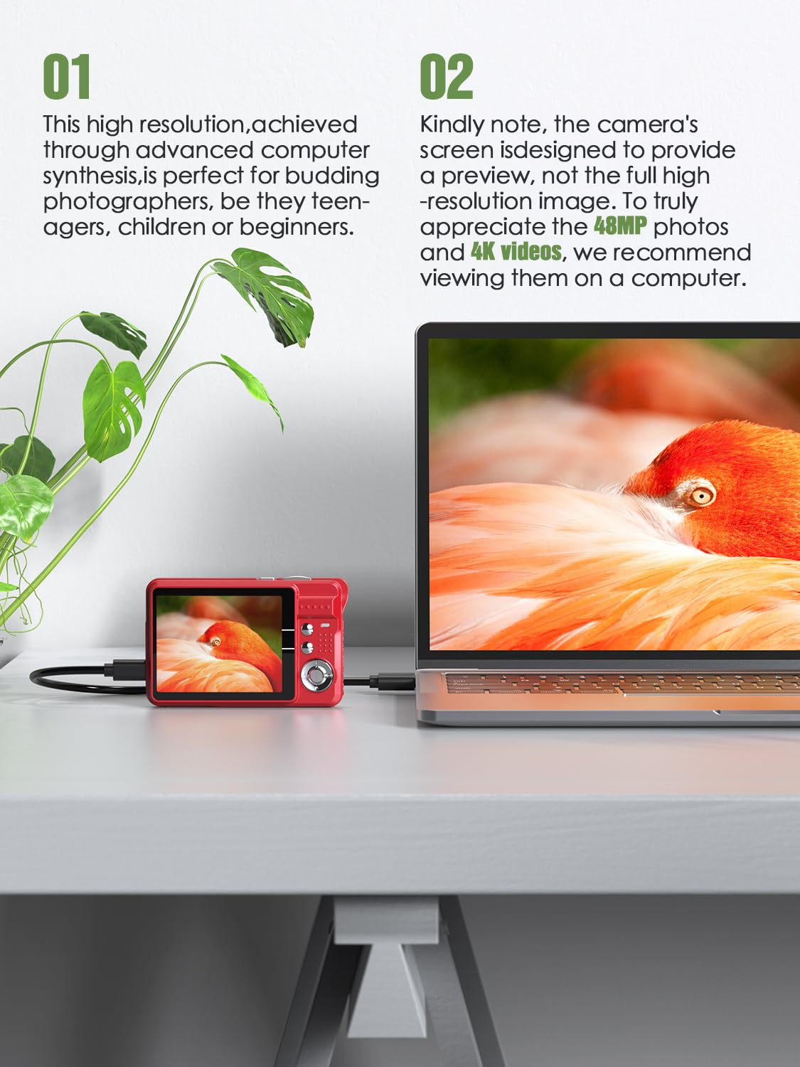 Rote Kamera mit Flamingo-Bild auf dem Bildschirm, verbunden mit einem Laptop auf einem Schreibtisch.