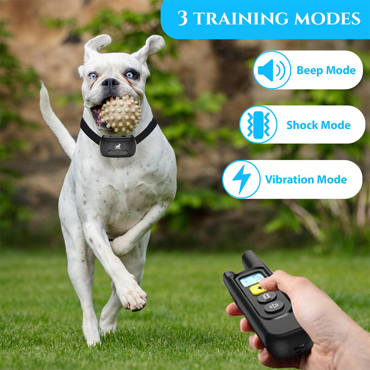 hundehalsband mit vibration und strom Elektrisches Hundehalsband main image 1
