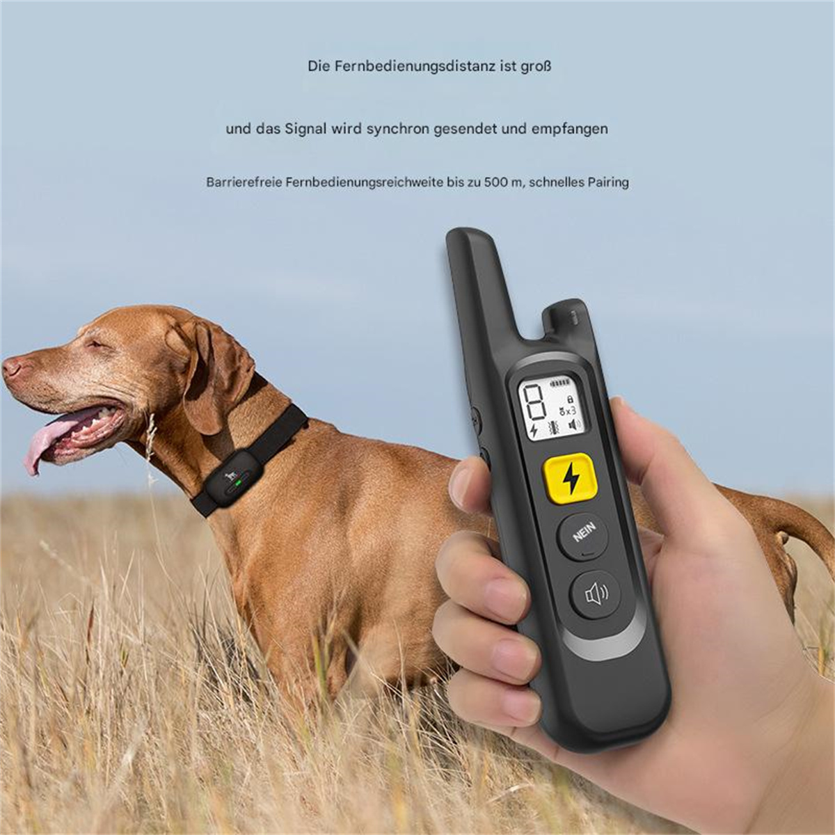 QTTVBTNA Hundetrainingshalsband mit Fernbedienung Uhrenbeweger
