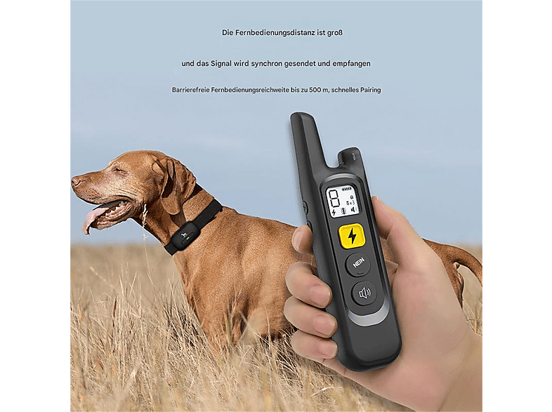 hundehalsband vibration fernbedienung Apple iPhone 16 im Test: Die definitive Antwort auf „Soll ich upgraden?“ main image 1