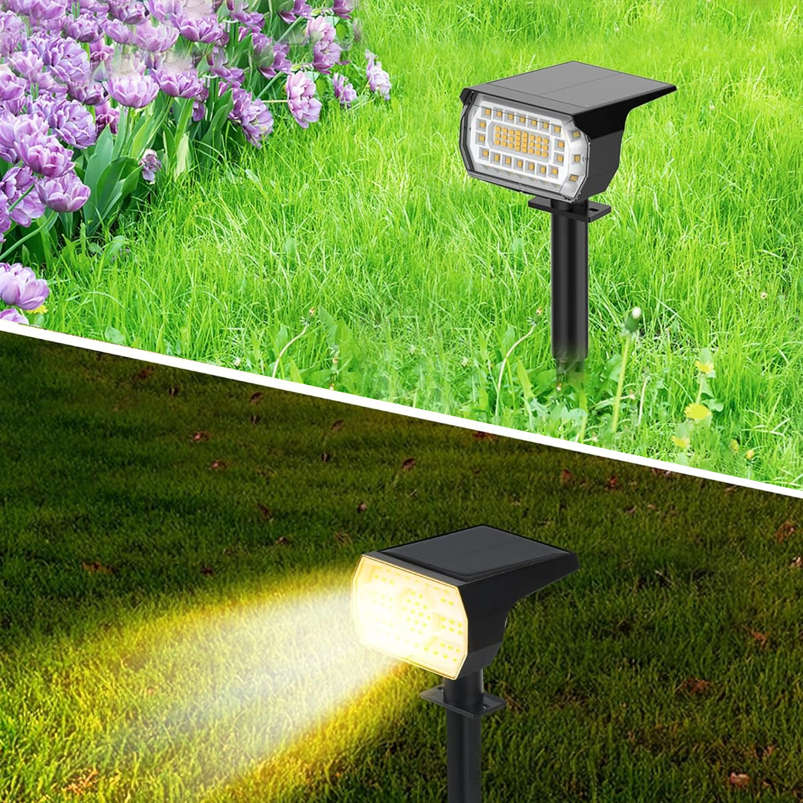 Solar-Gartenleuchten beleuchten Gras, eine mit lila Blumen. Zwei Modi gezeigt.