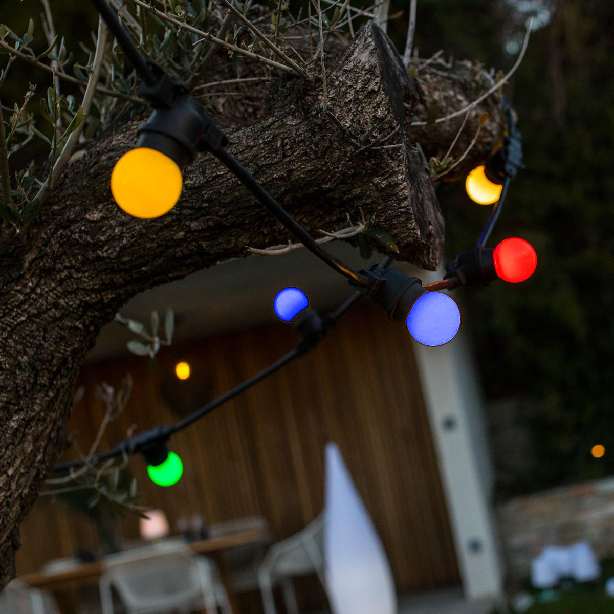 Lichterkette am Baum mit bunten Glühbirnen, schafft eine festliche Stimmung.