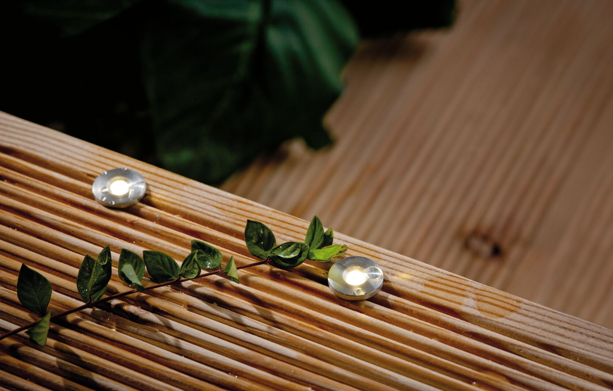 Dwa małe światła na drewnianym tarasie z zieloną rośliną i liśćmi.