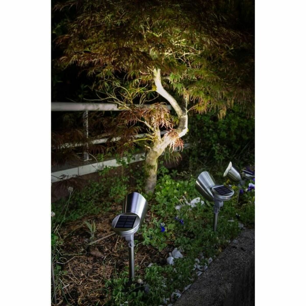 Solar-Gartenleuchten beleuchten nachts einen Baum. Die Lichter befinden sich auf einem Steinrand mit Pflanzen.
