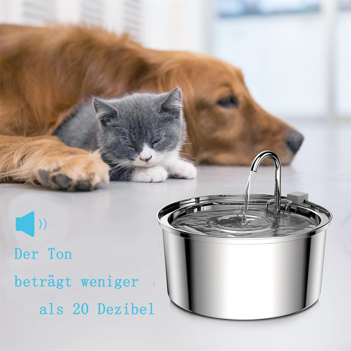 Eine Katze ruht in der Nähe eines Trinkbrunnens für Haustiere. Text: Der Ton ist weniger als 20 Dezibel.