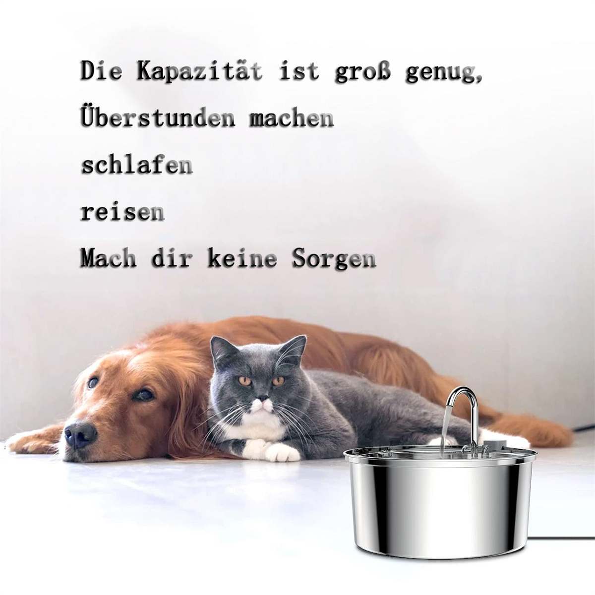 Hund und Katze liegen zusammen, Text über einem Trinkbrunnen für Haustiere.