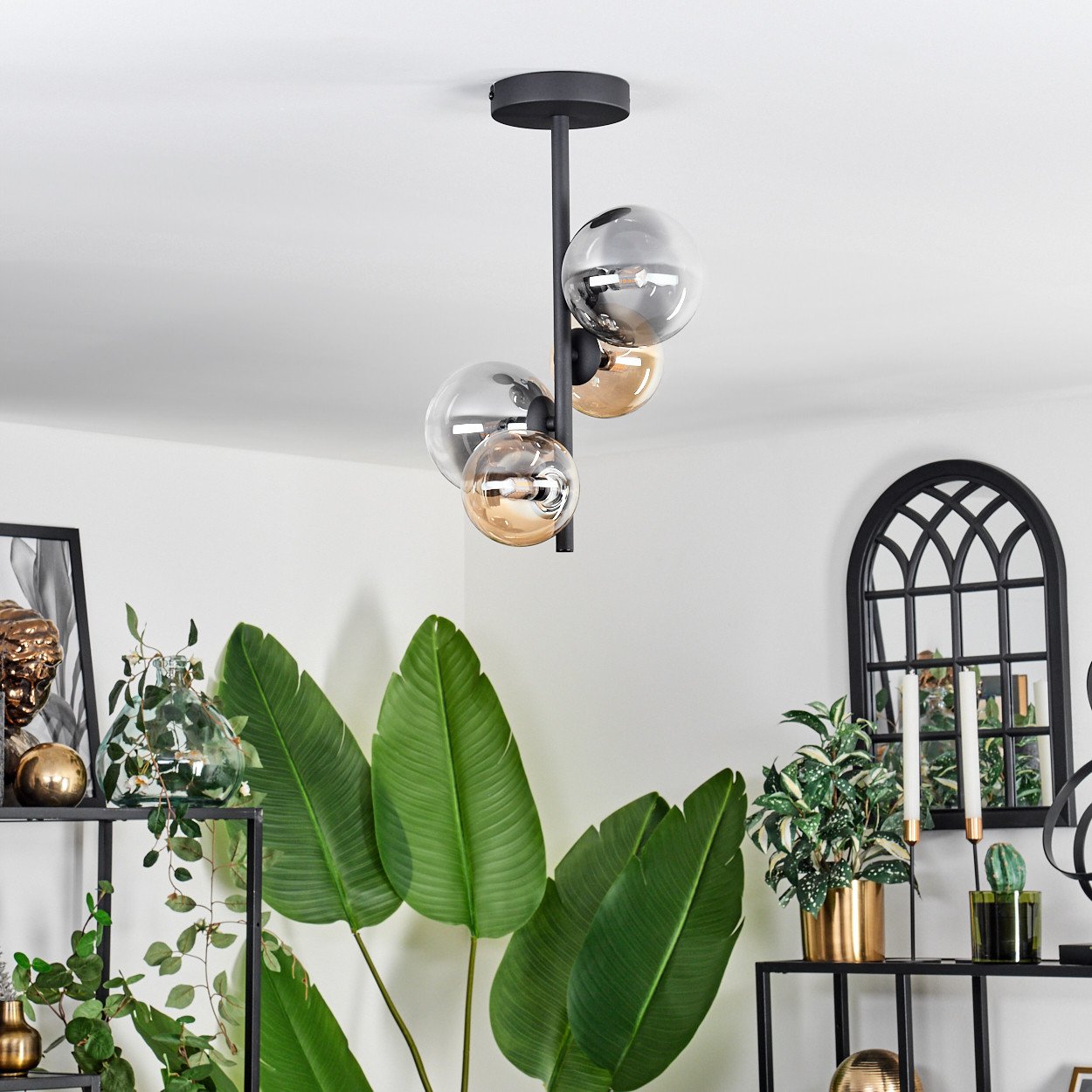 Schwarze Deckenlampe mit drei Glaskugeln. Hintergrund: Blätter, Regale und Dekorationsartikel.