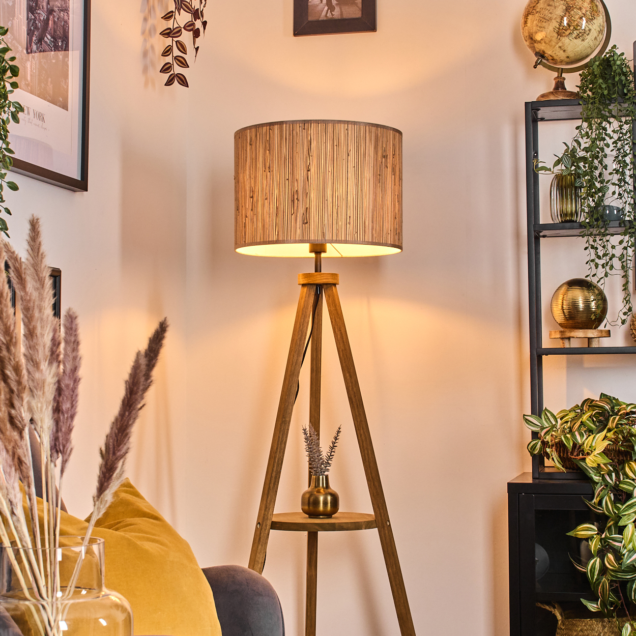 Wohnzimmer mit Lampe, Pflanzen, Bildern, Sofa und Globus.