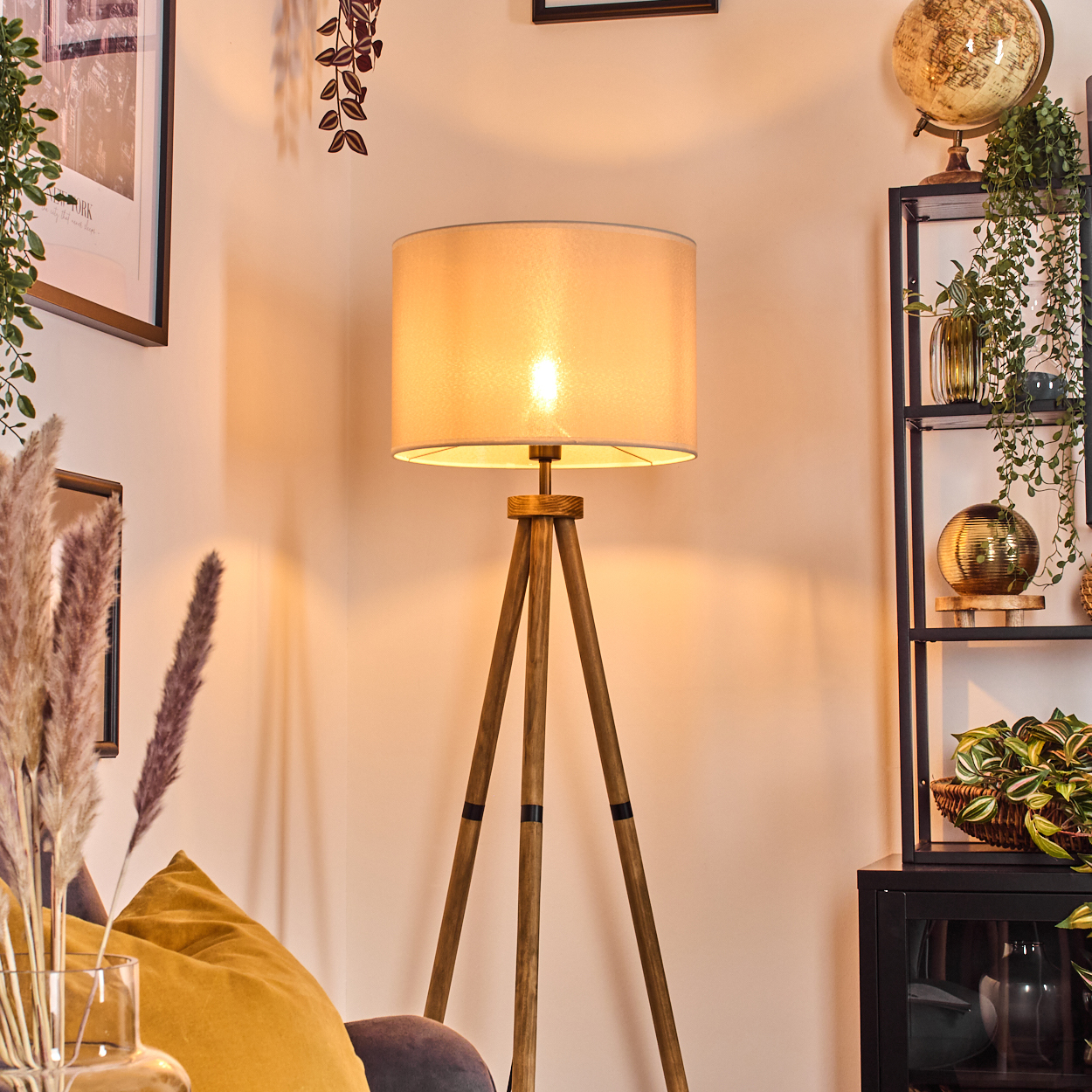 Wohnzimmer mit Lampe, Bildern, Pflanzen und Globus.